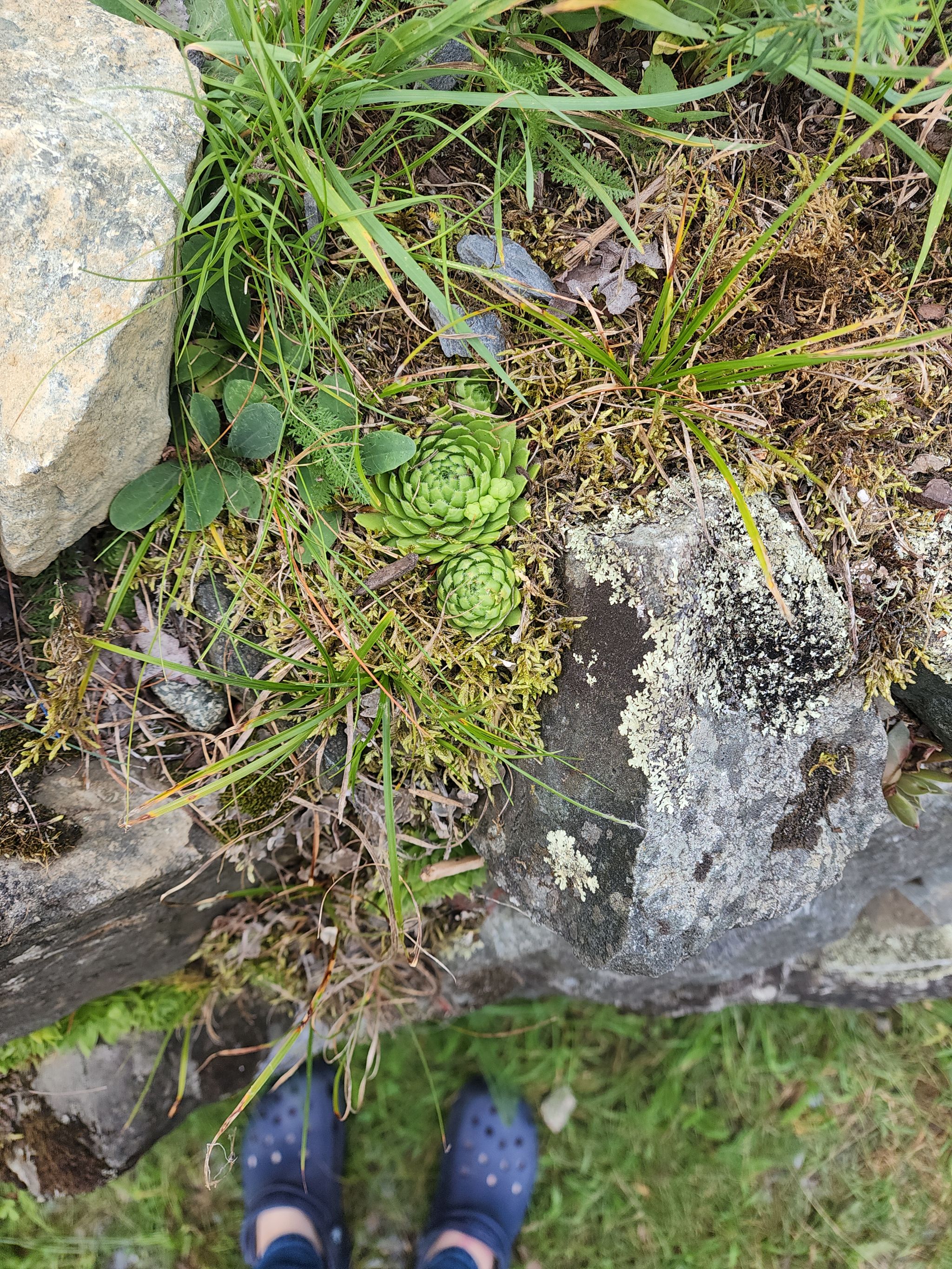 Photo from the post