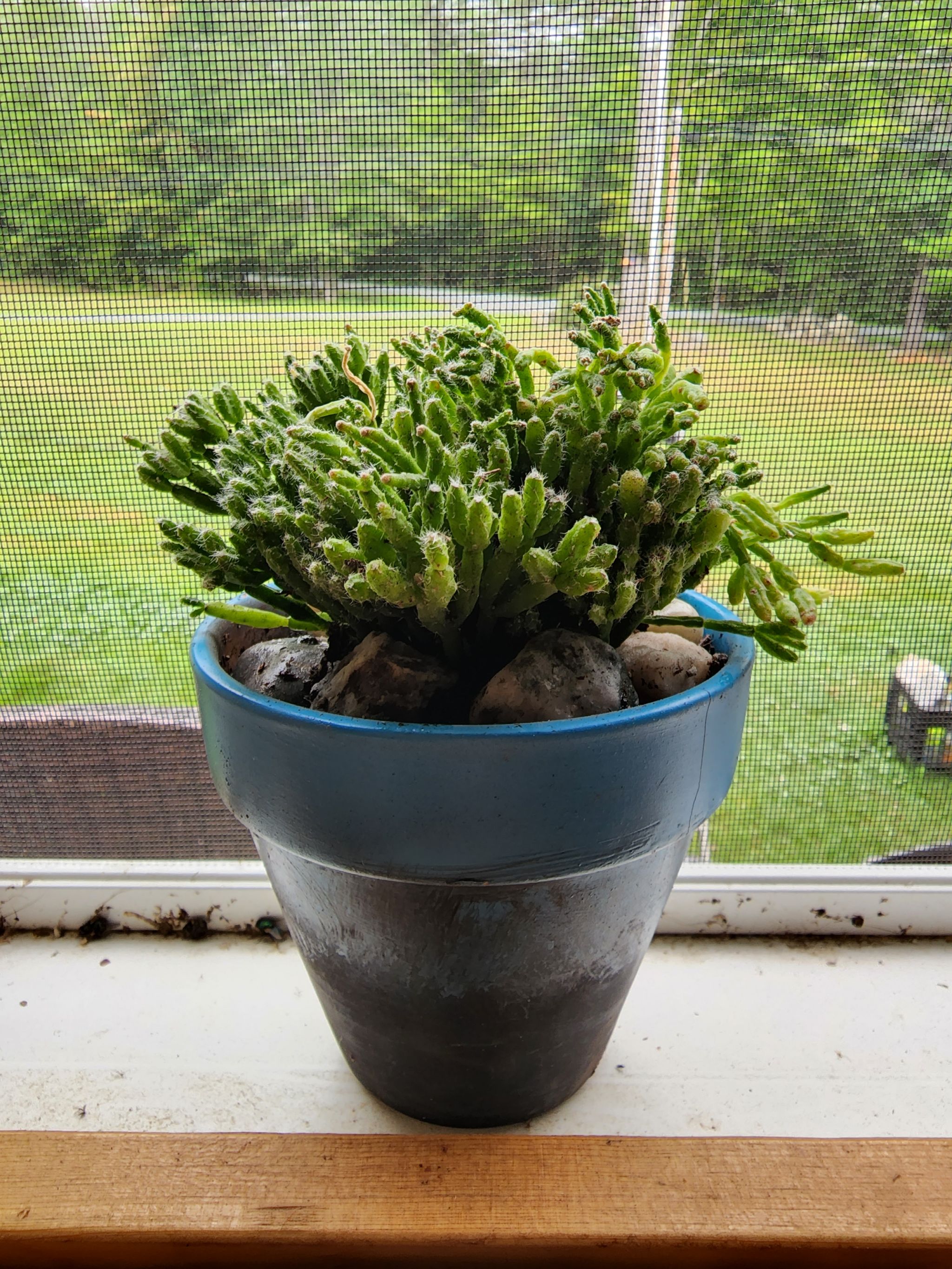 Photo from the post