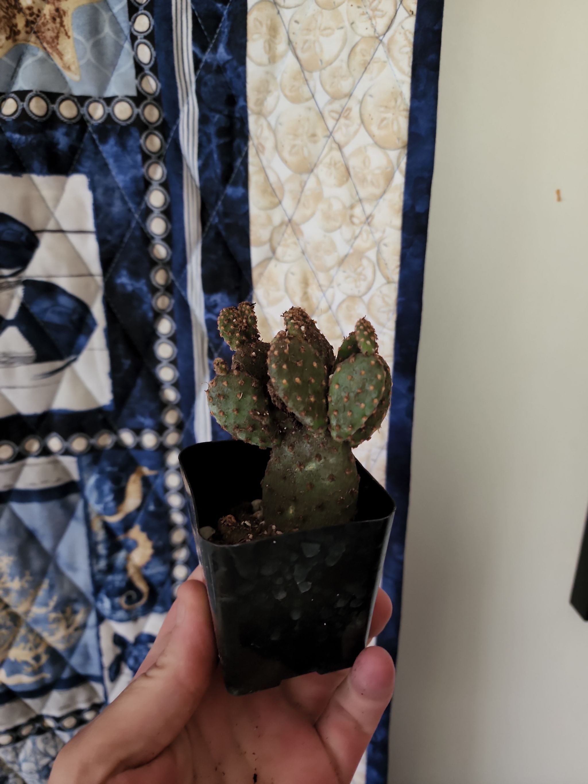 Photo from the post