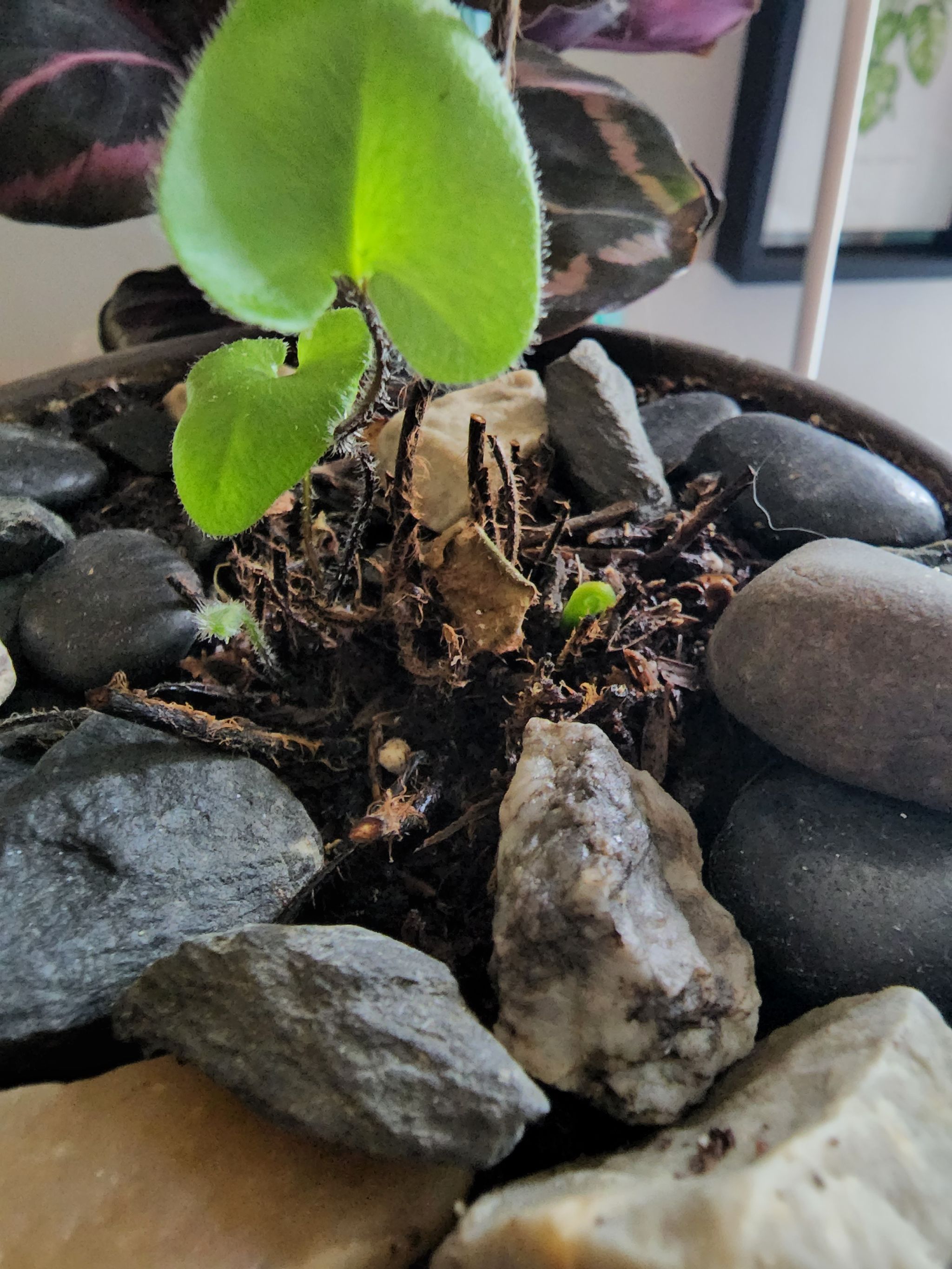 Photo from the post