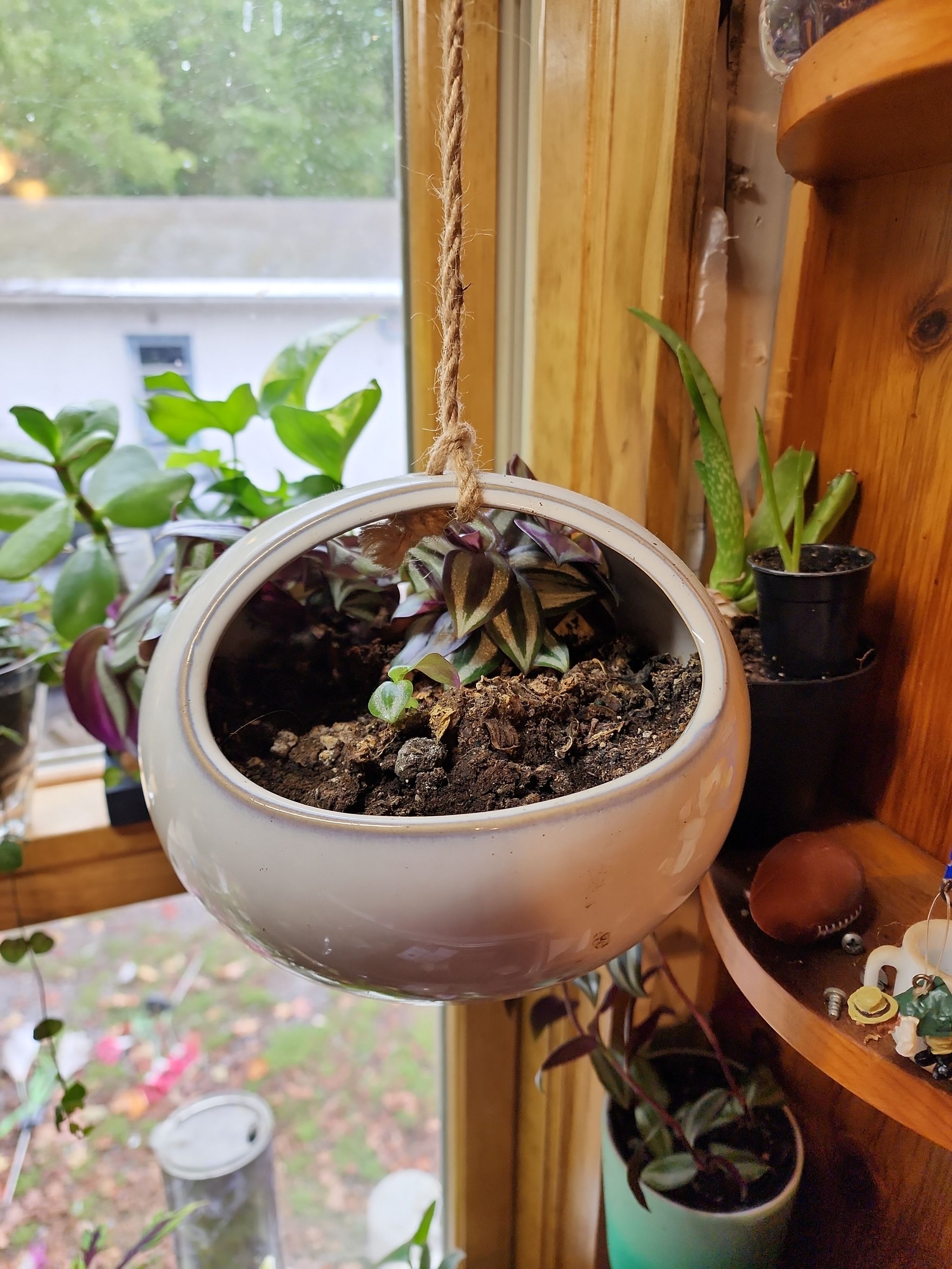 Photo from the post