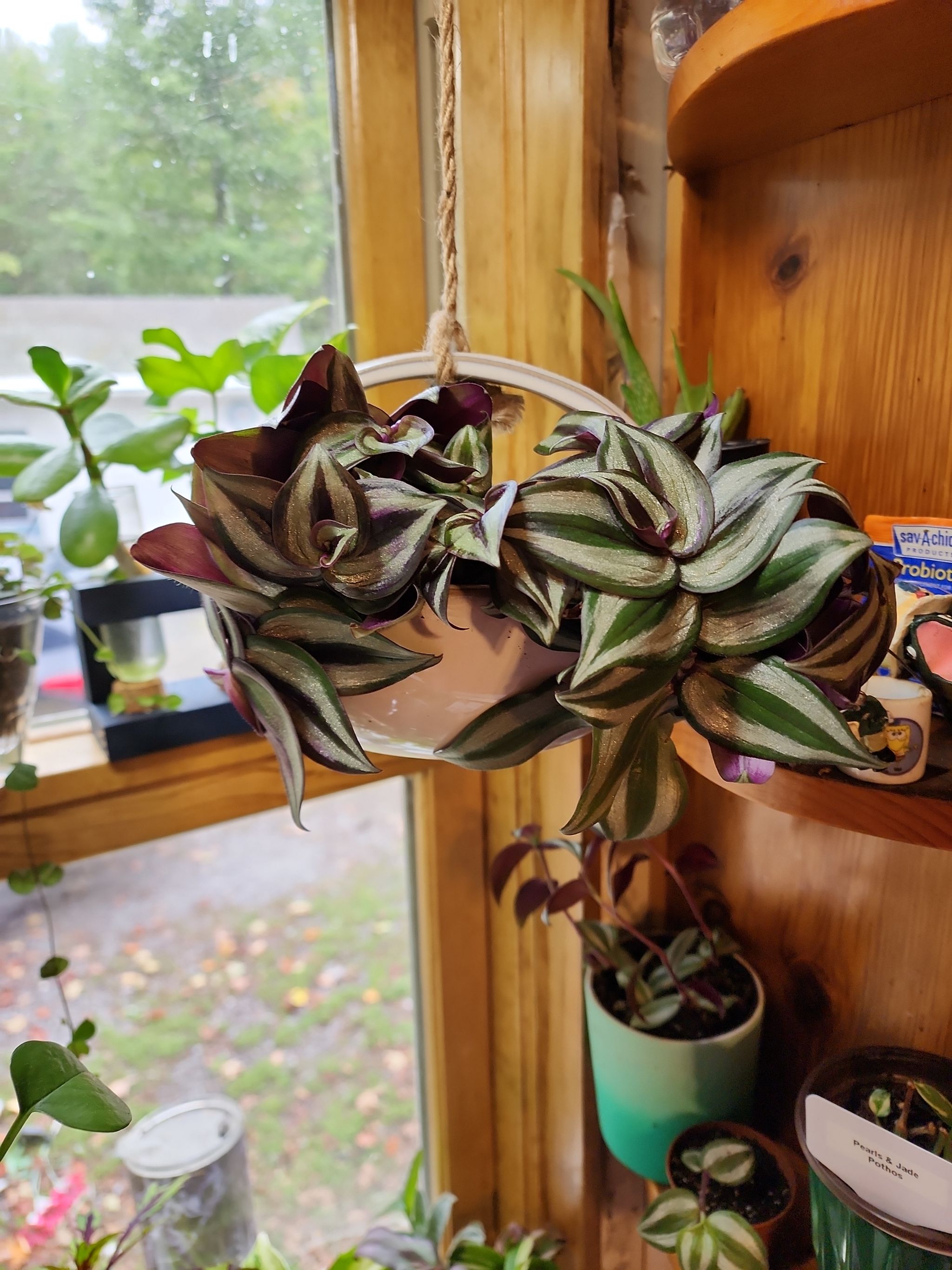 Photo from the post