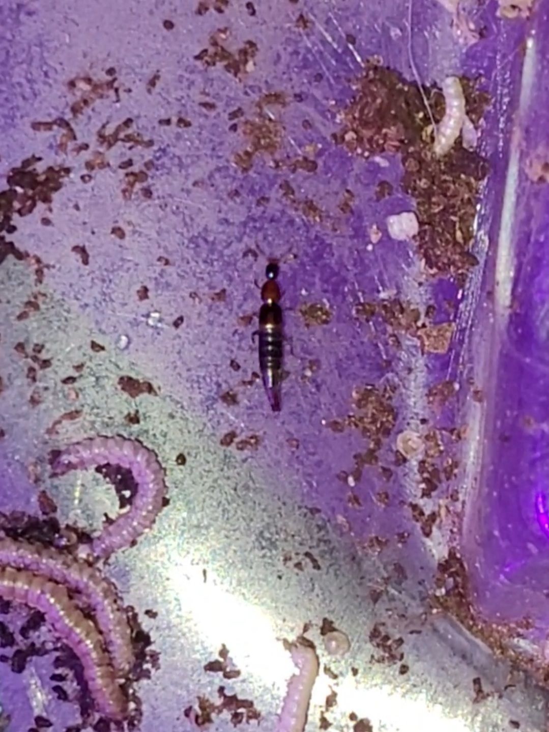 Photo from the post