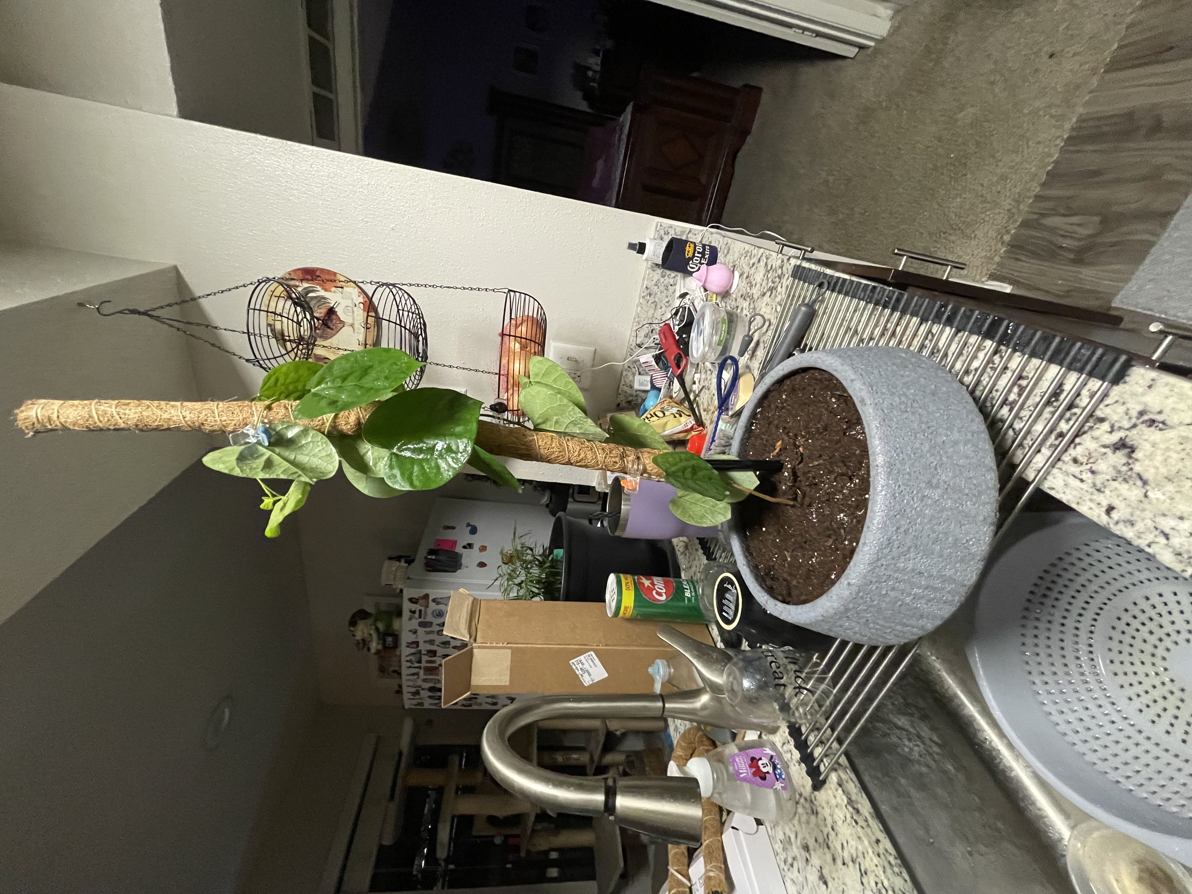 Photo from the post