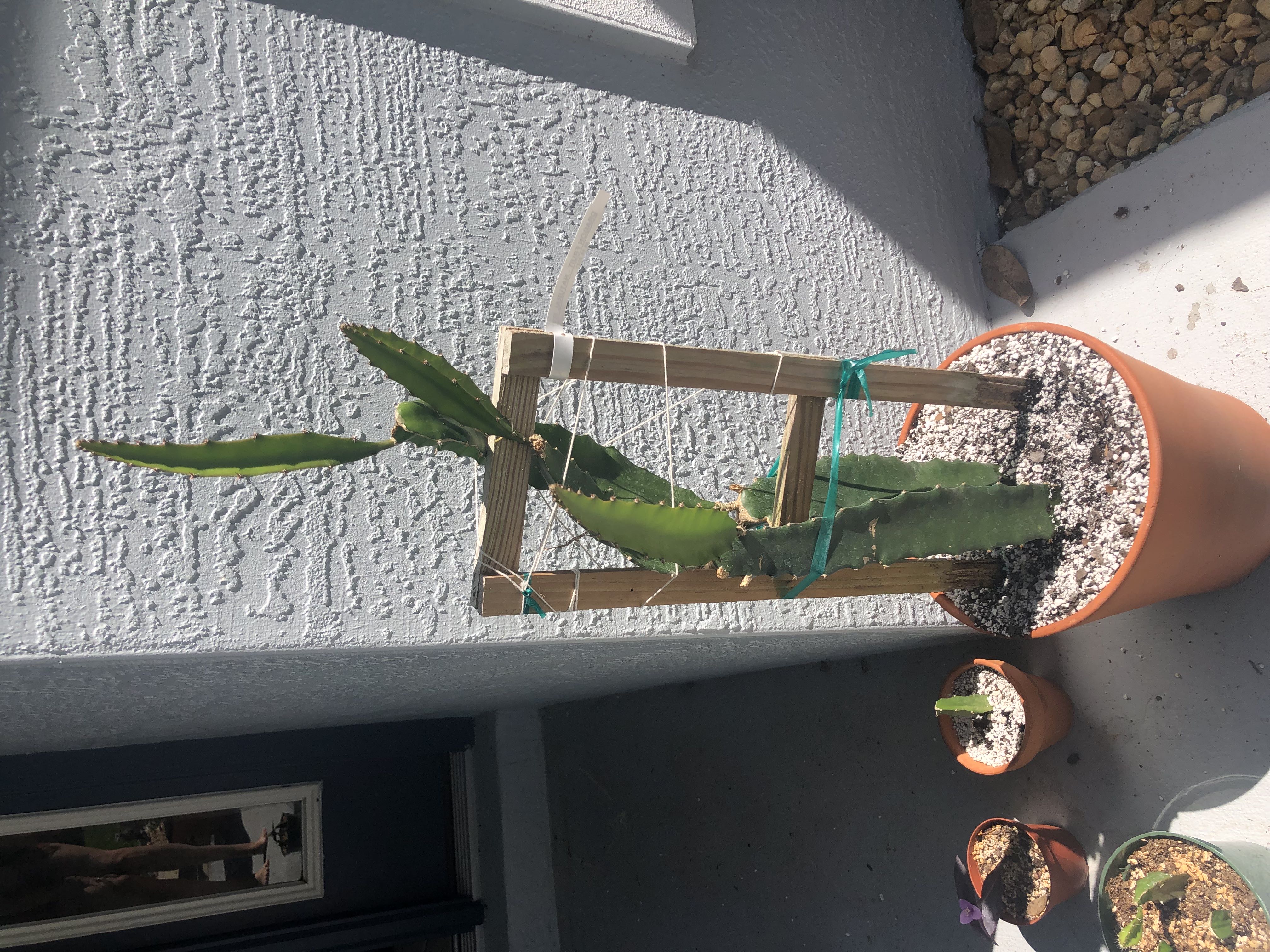 Photo from the post