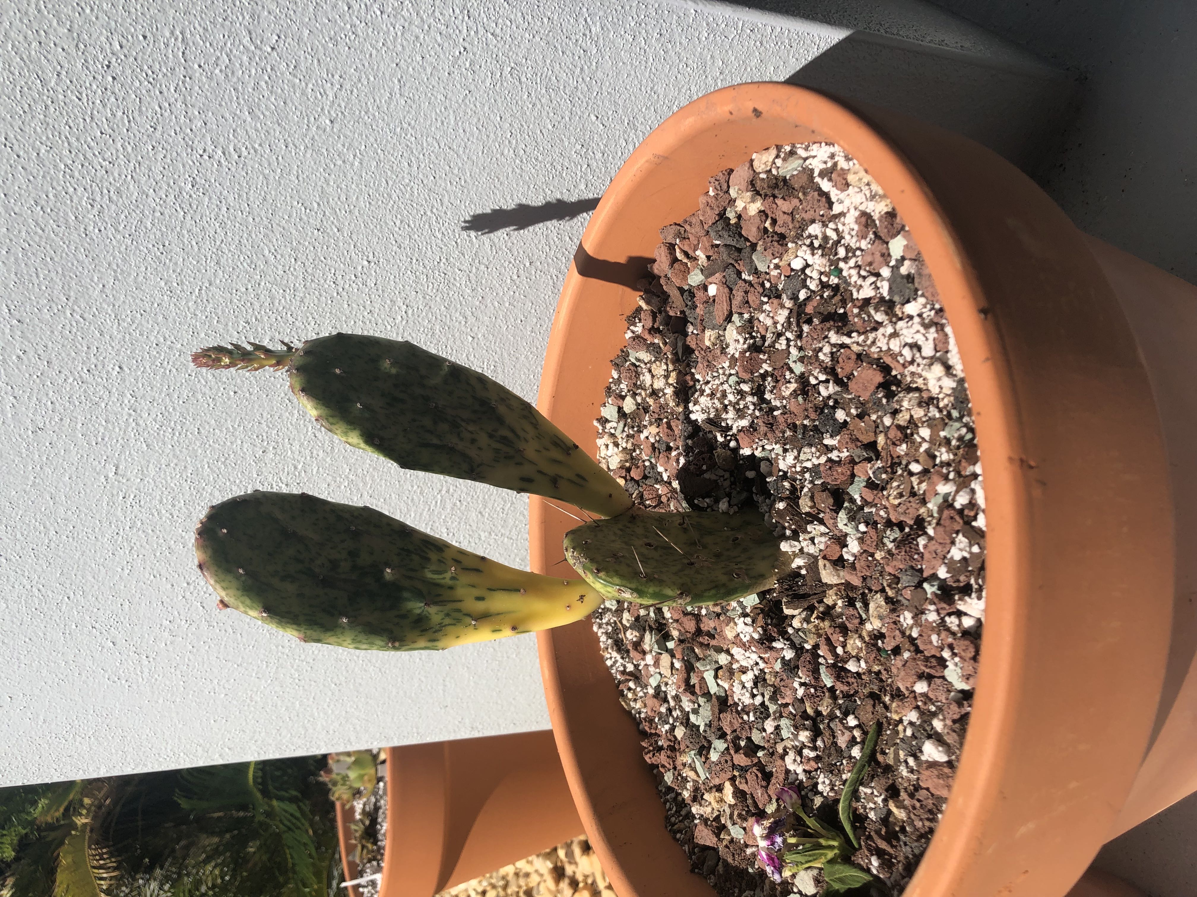 Photo from the post