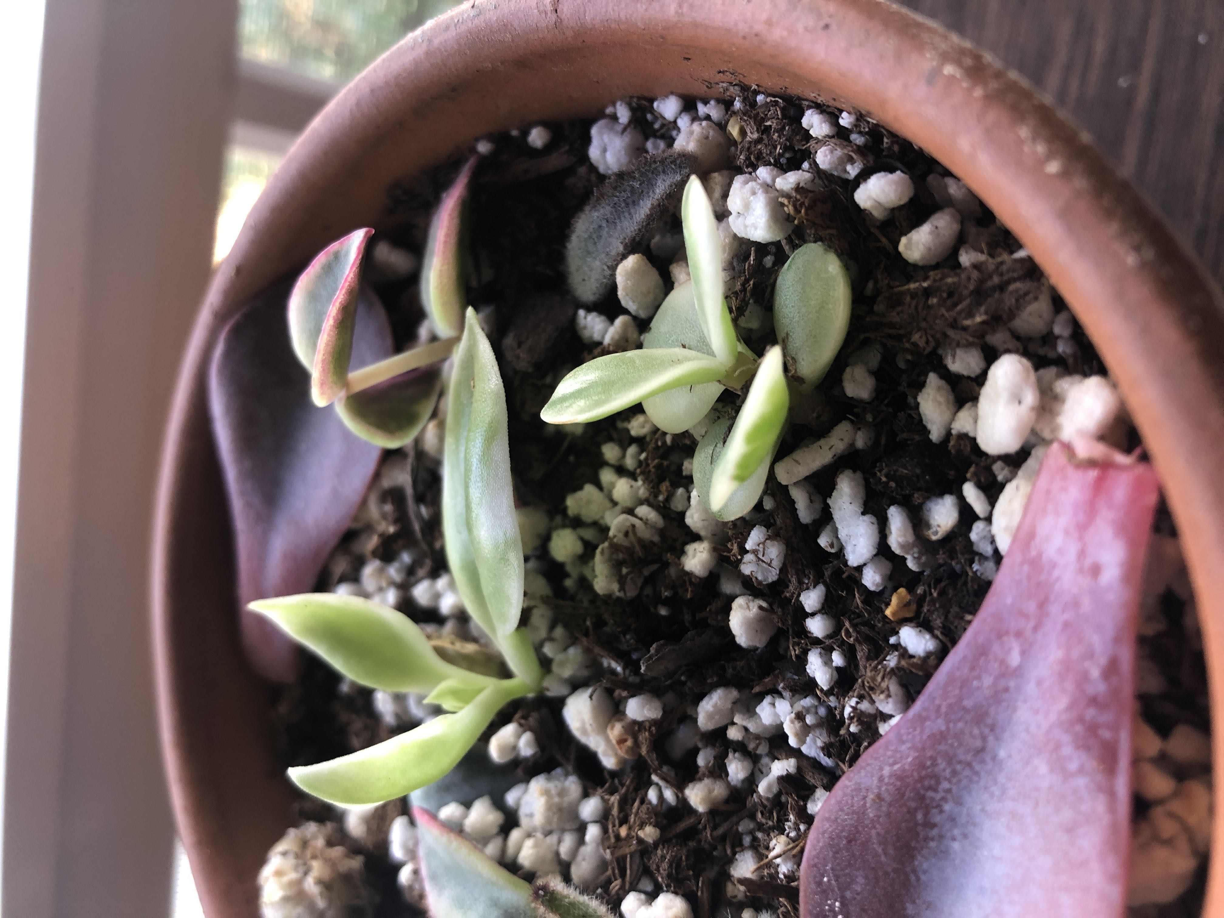 Photo from the post