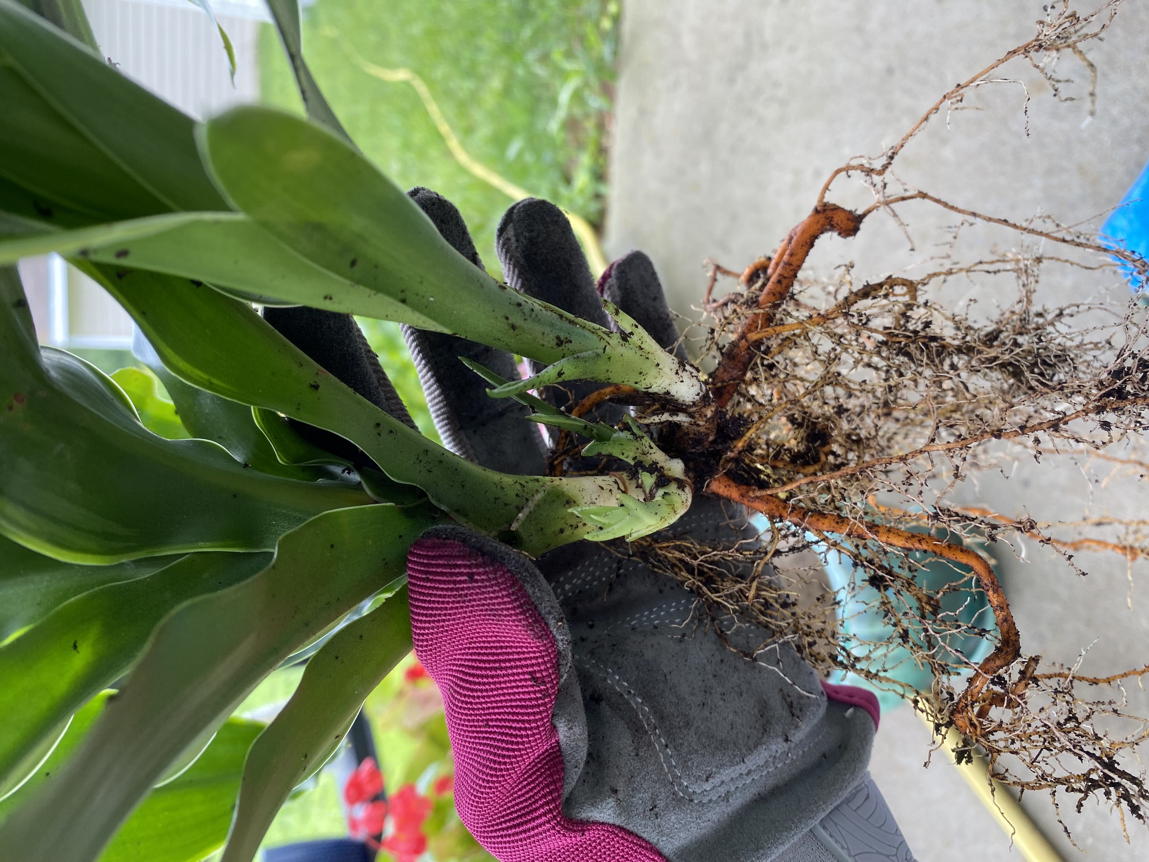 Photo from the post