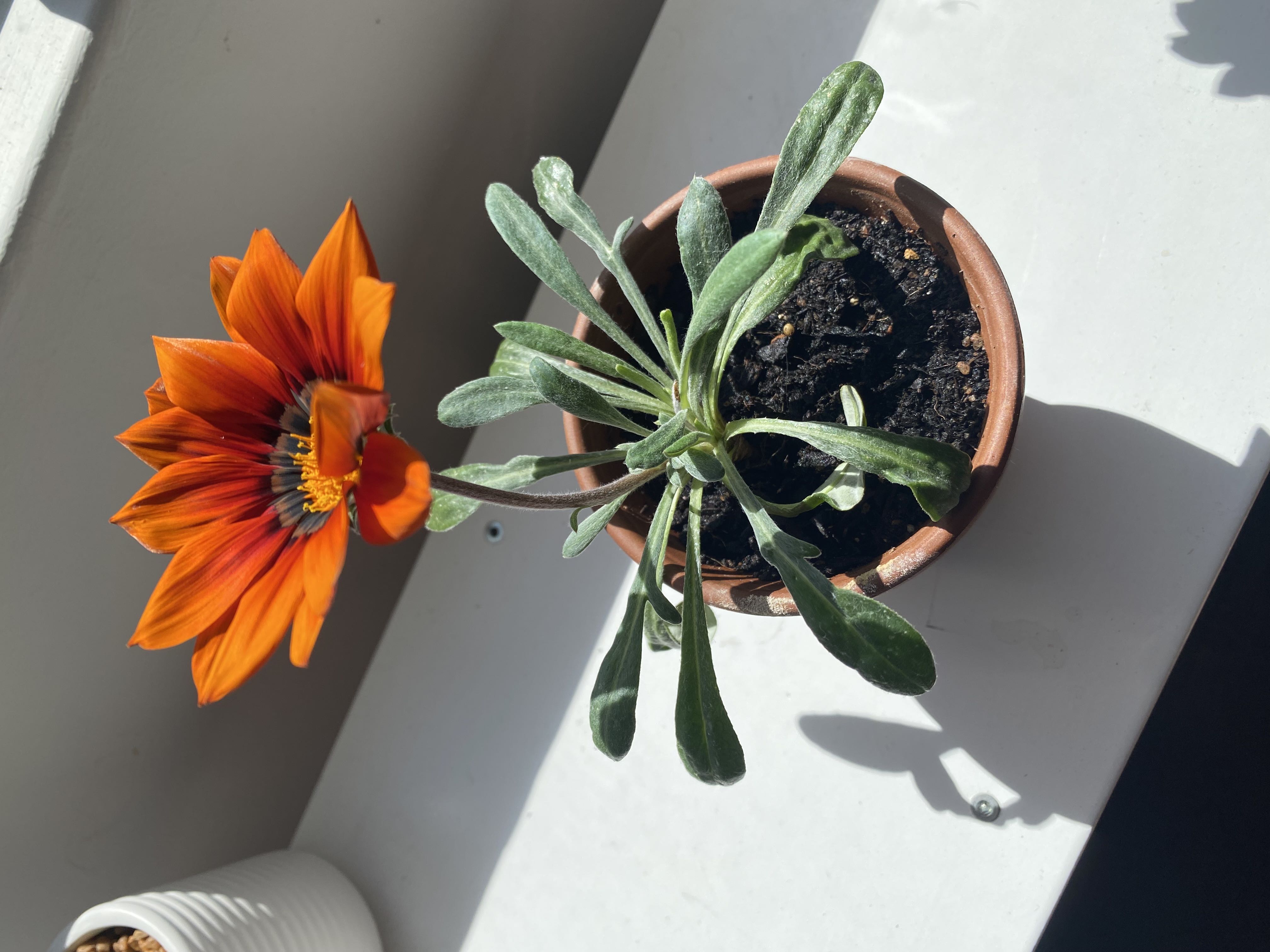 Photo from the post