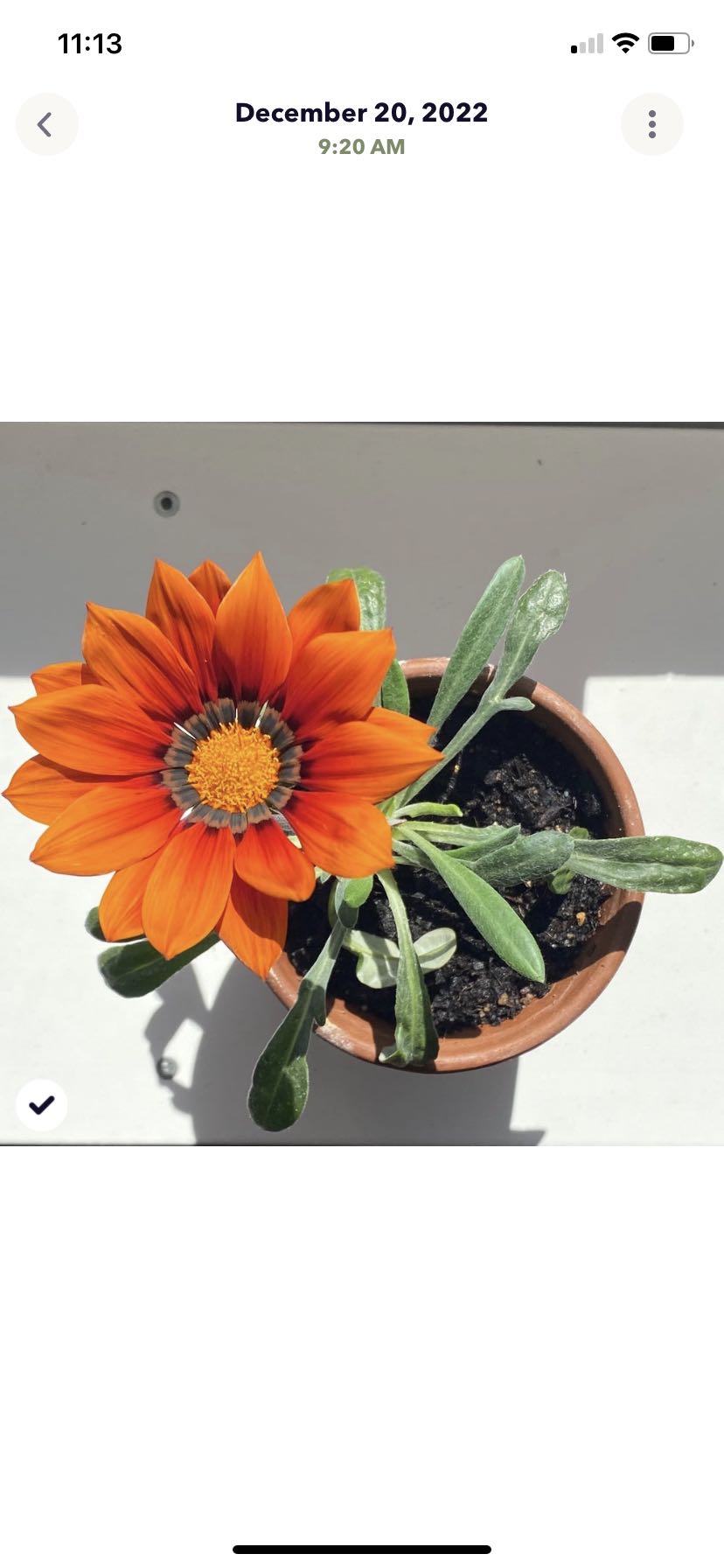 Photo from the post