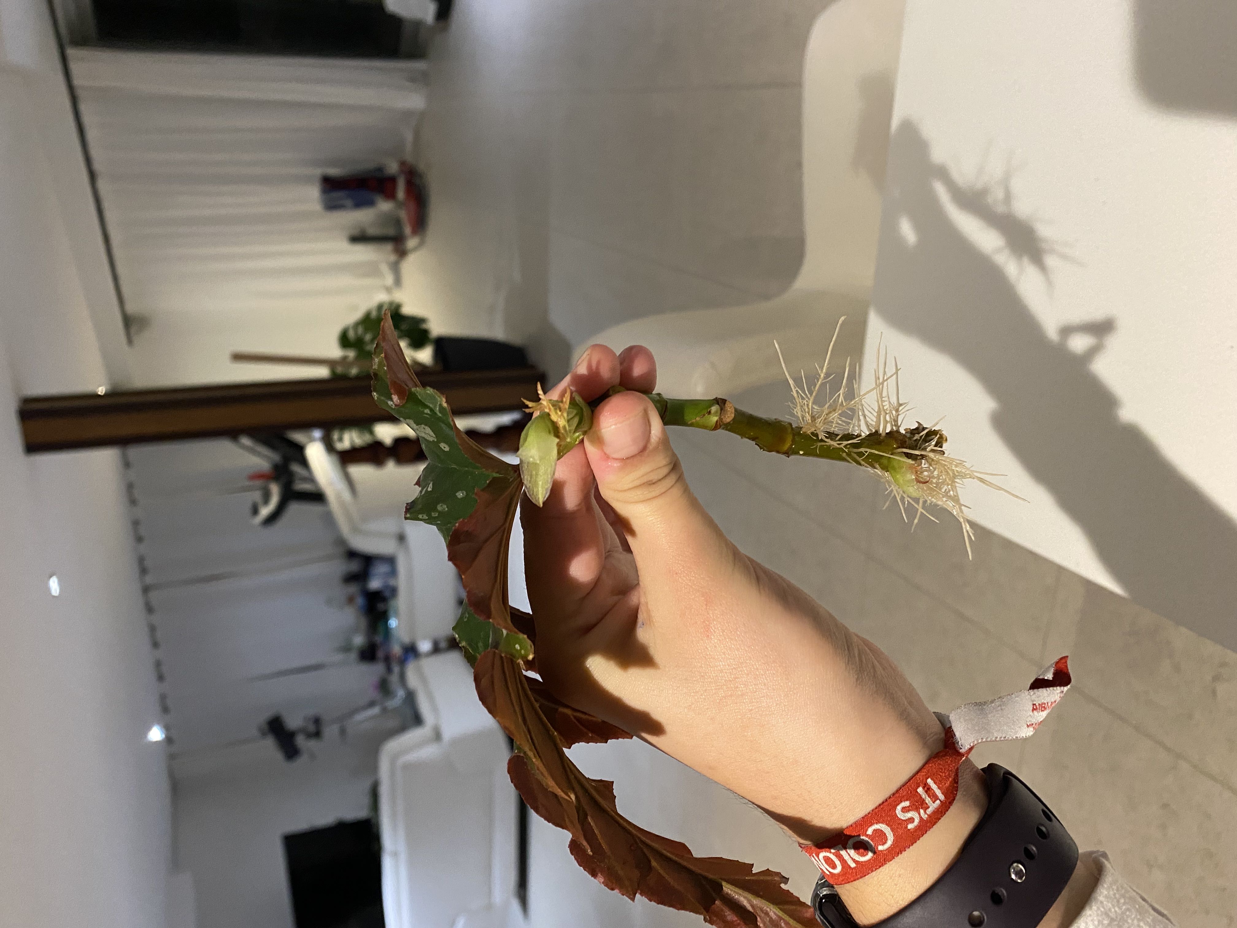 Photo from the post