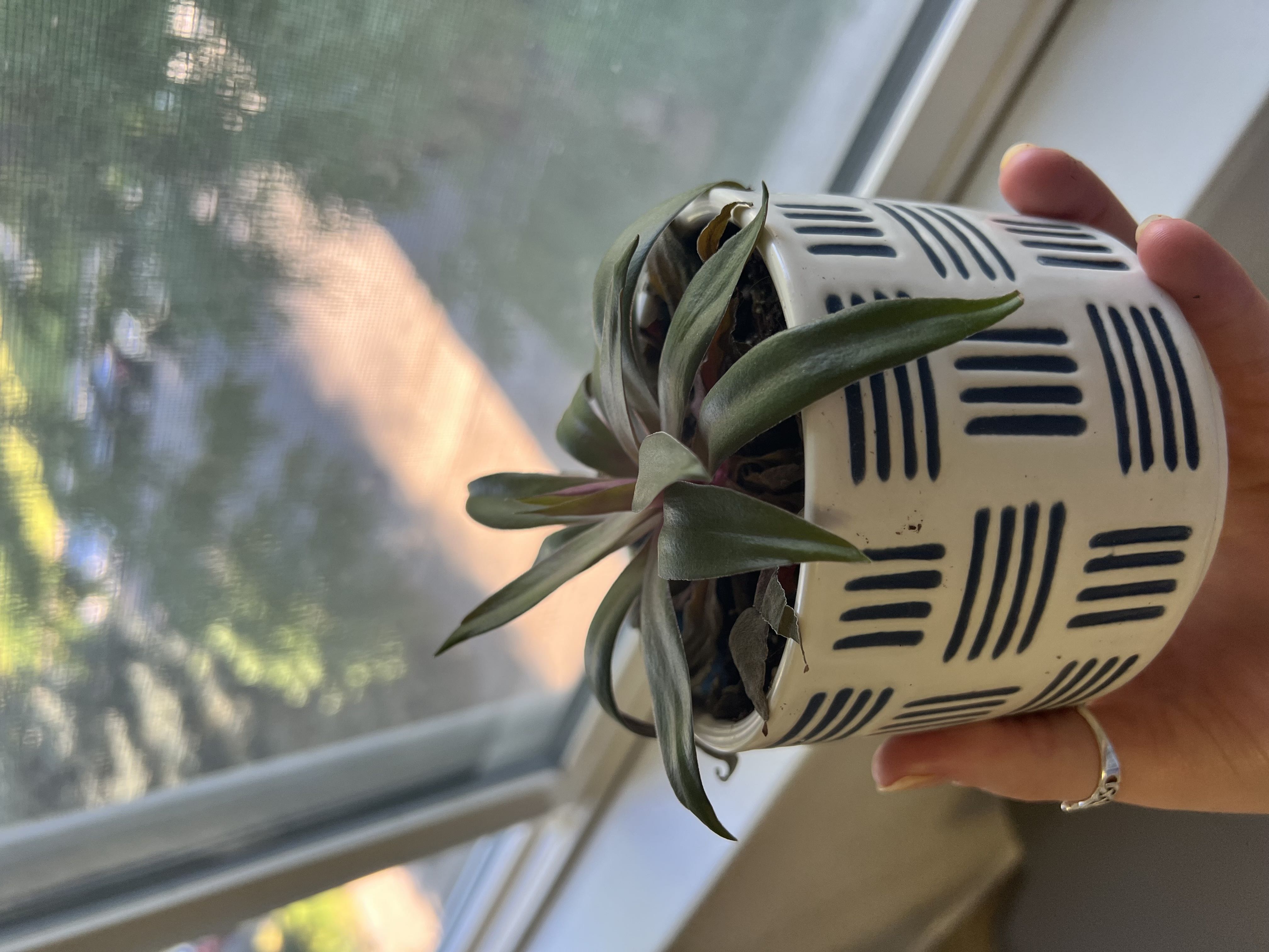 Photo from the post