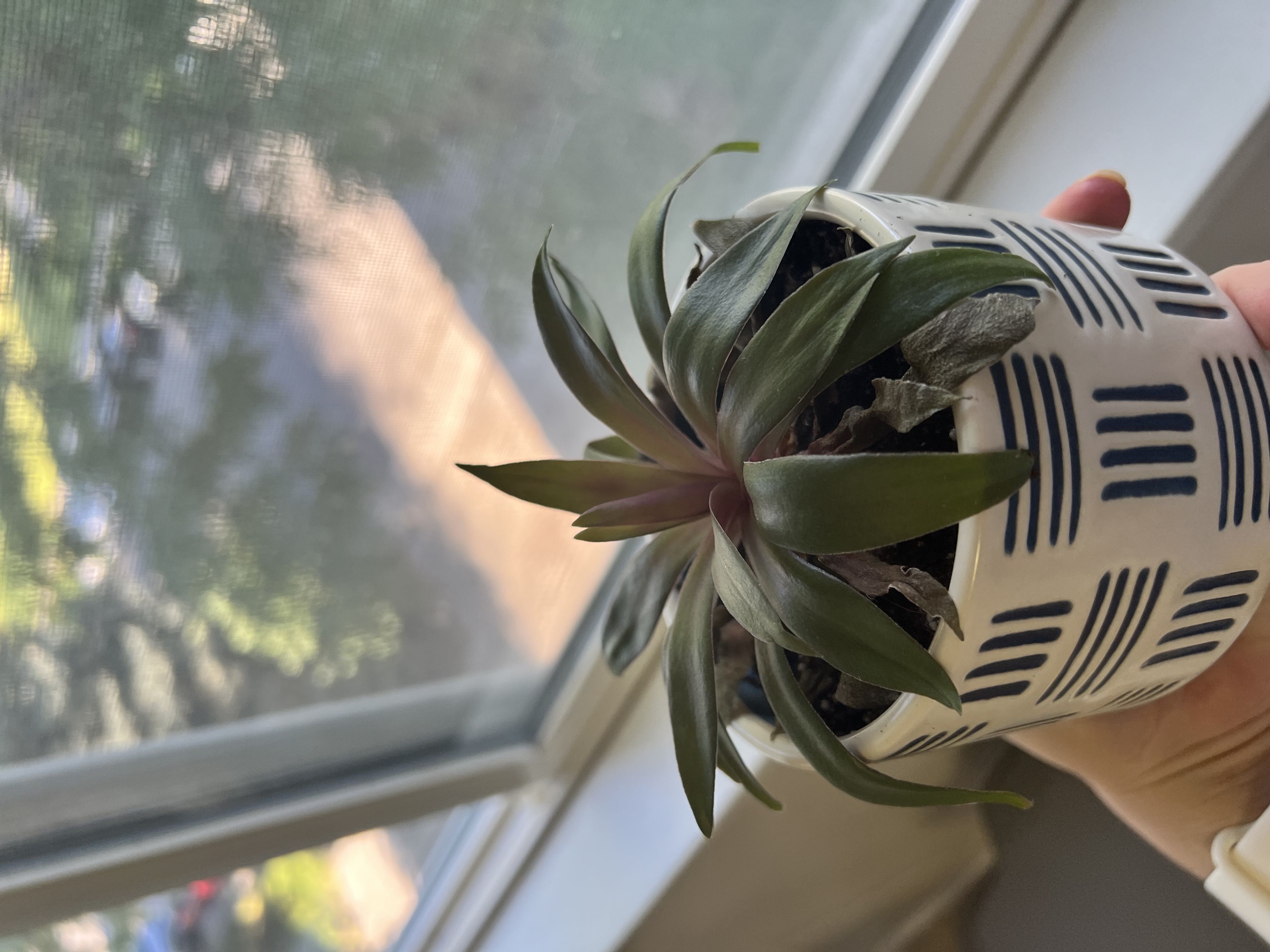 Photo from the post