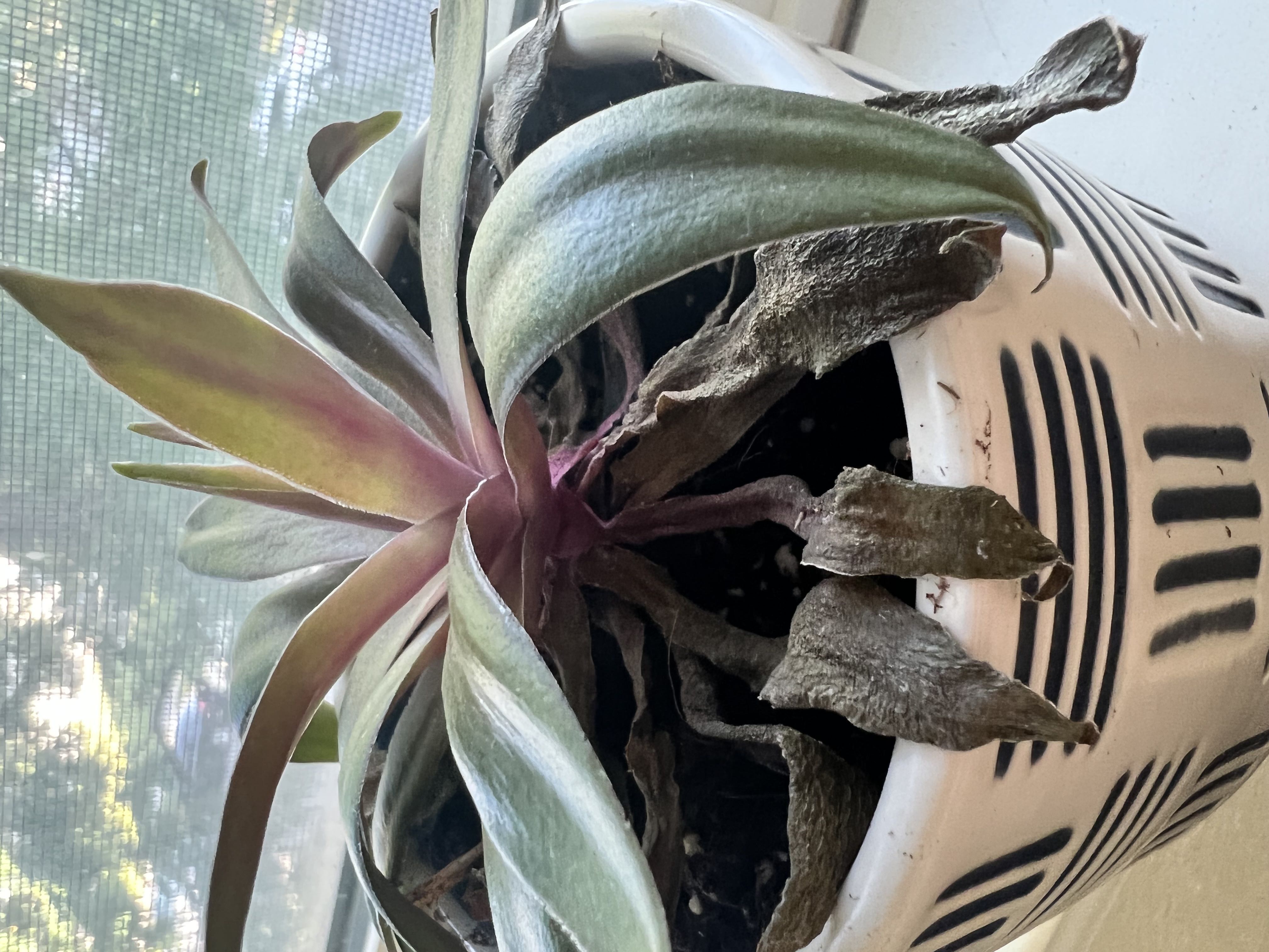 Photo from the post