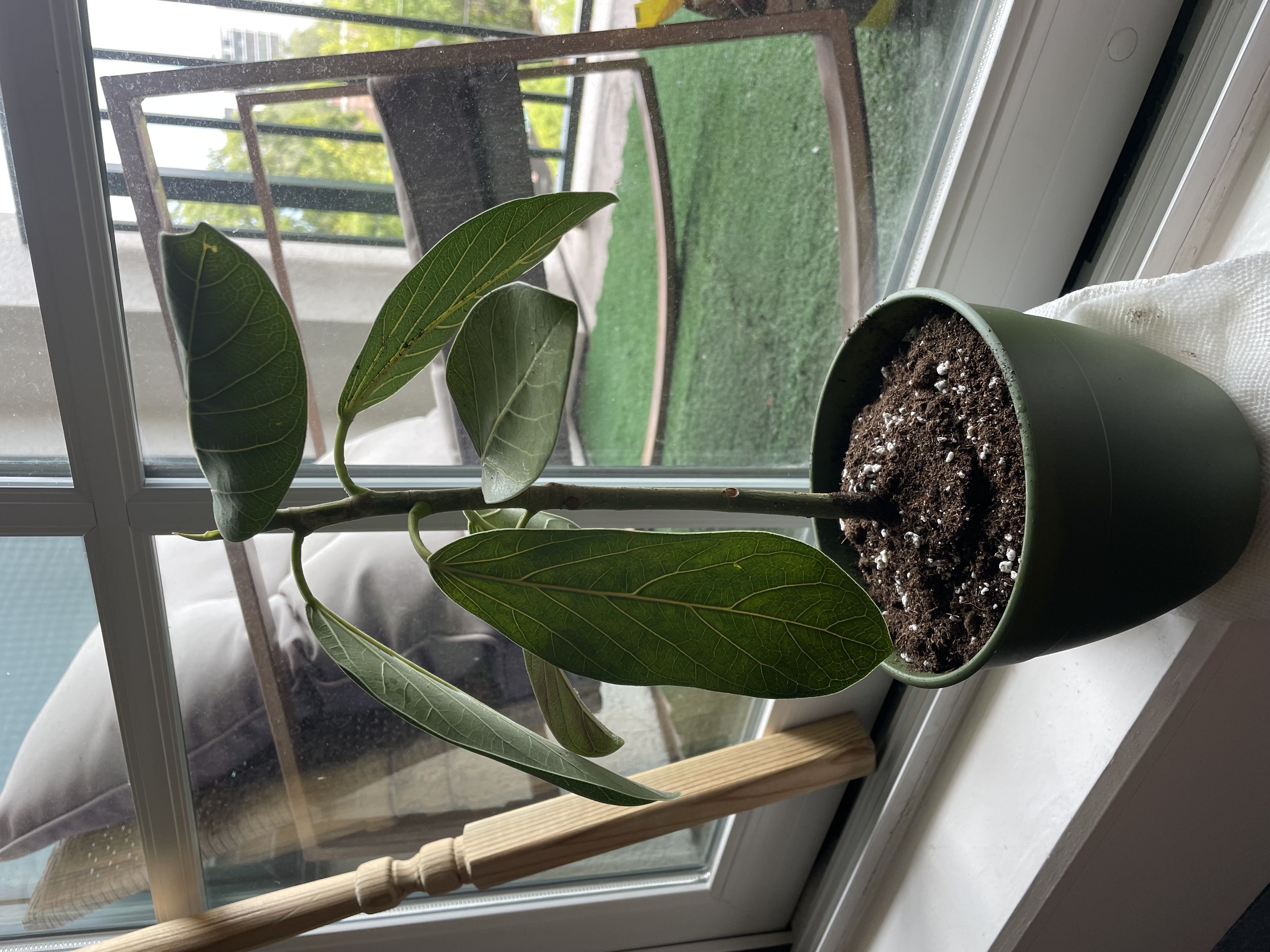 Photo from the post