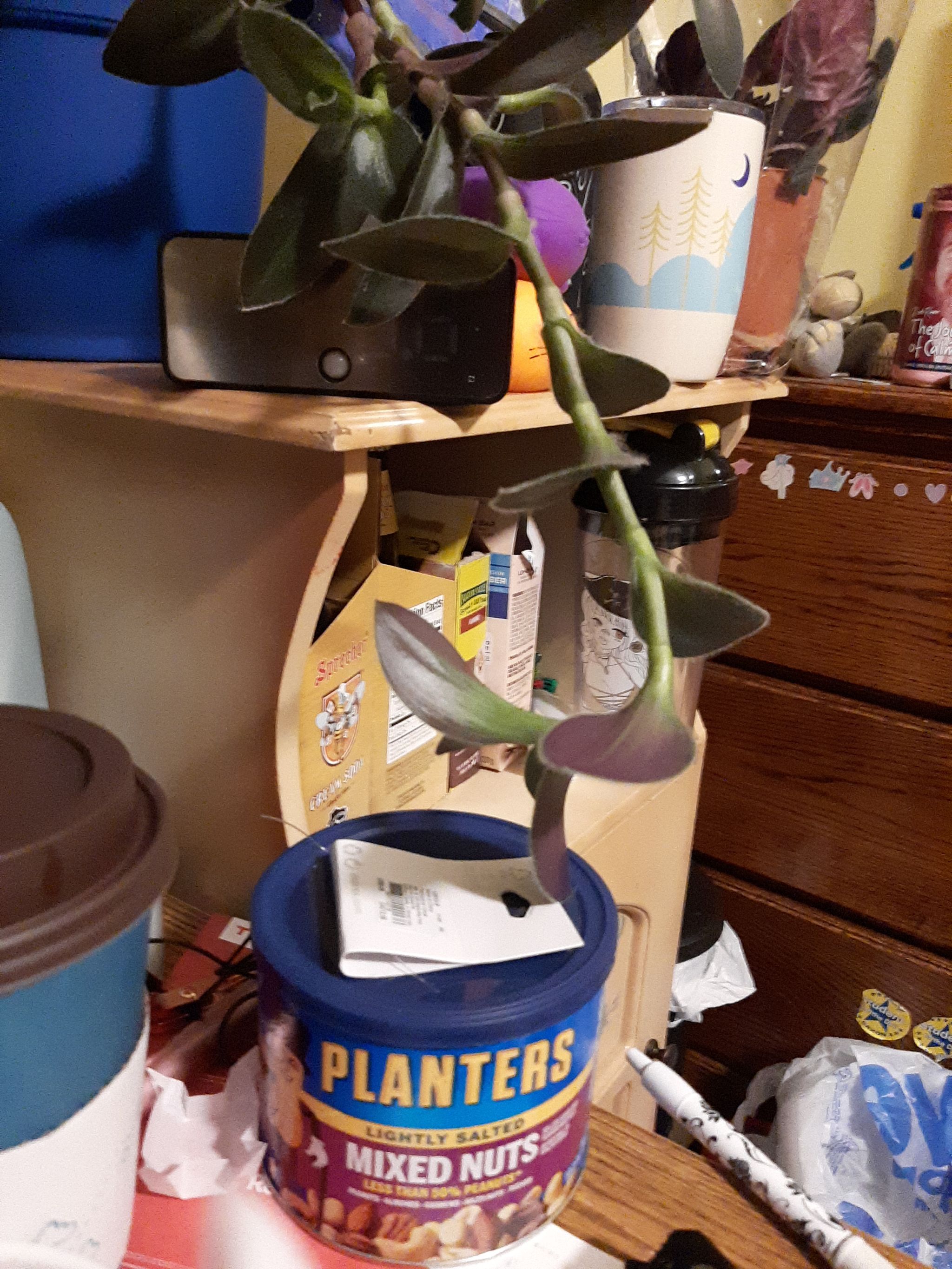 Photo from the post