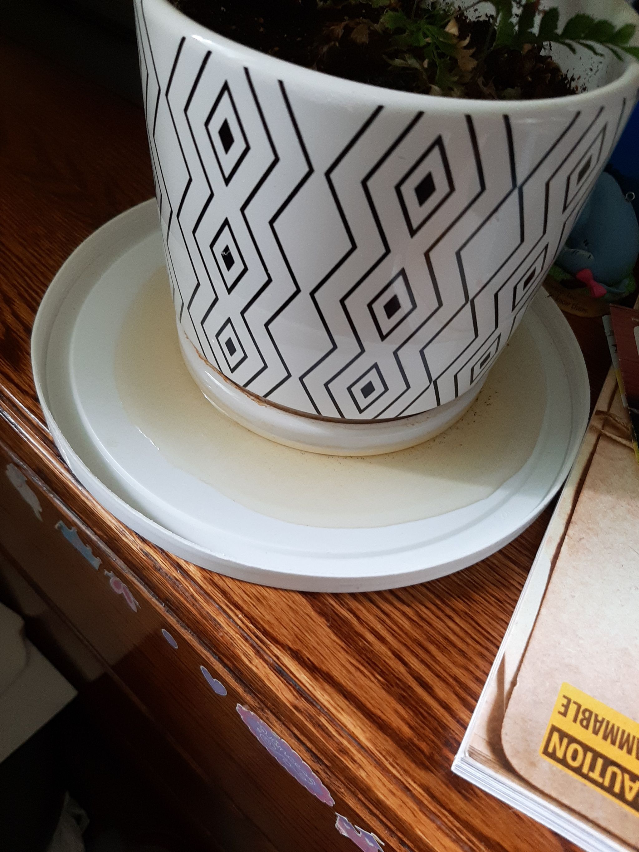 Photo from the post