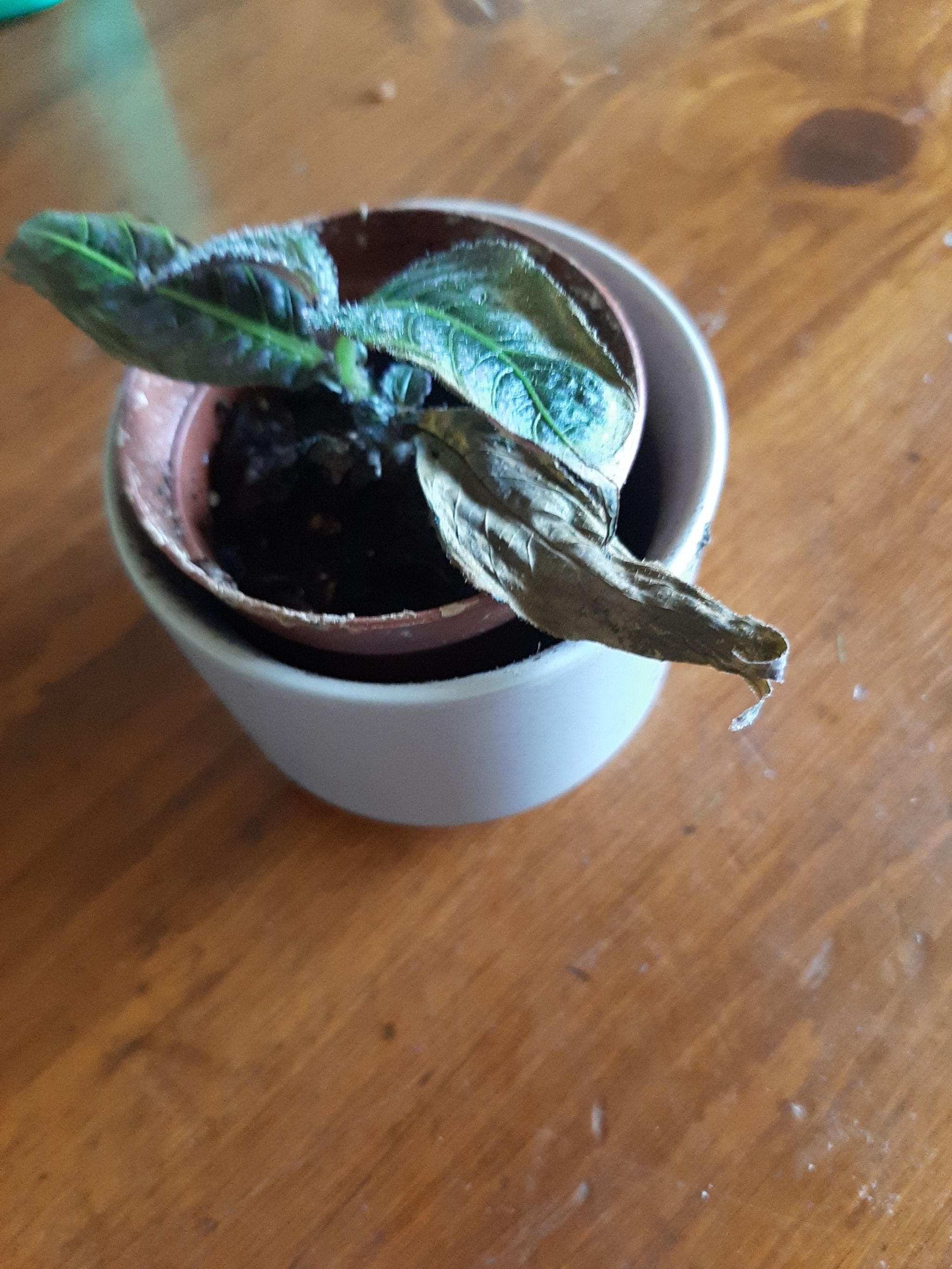 Photo from the post