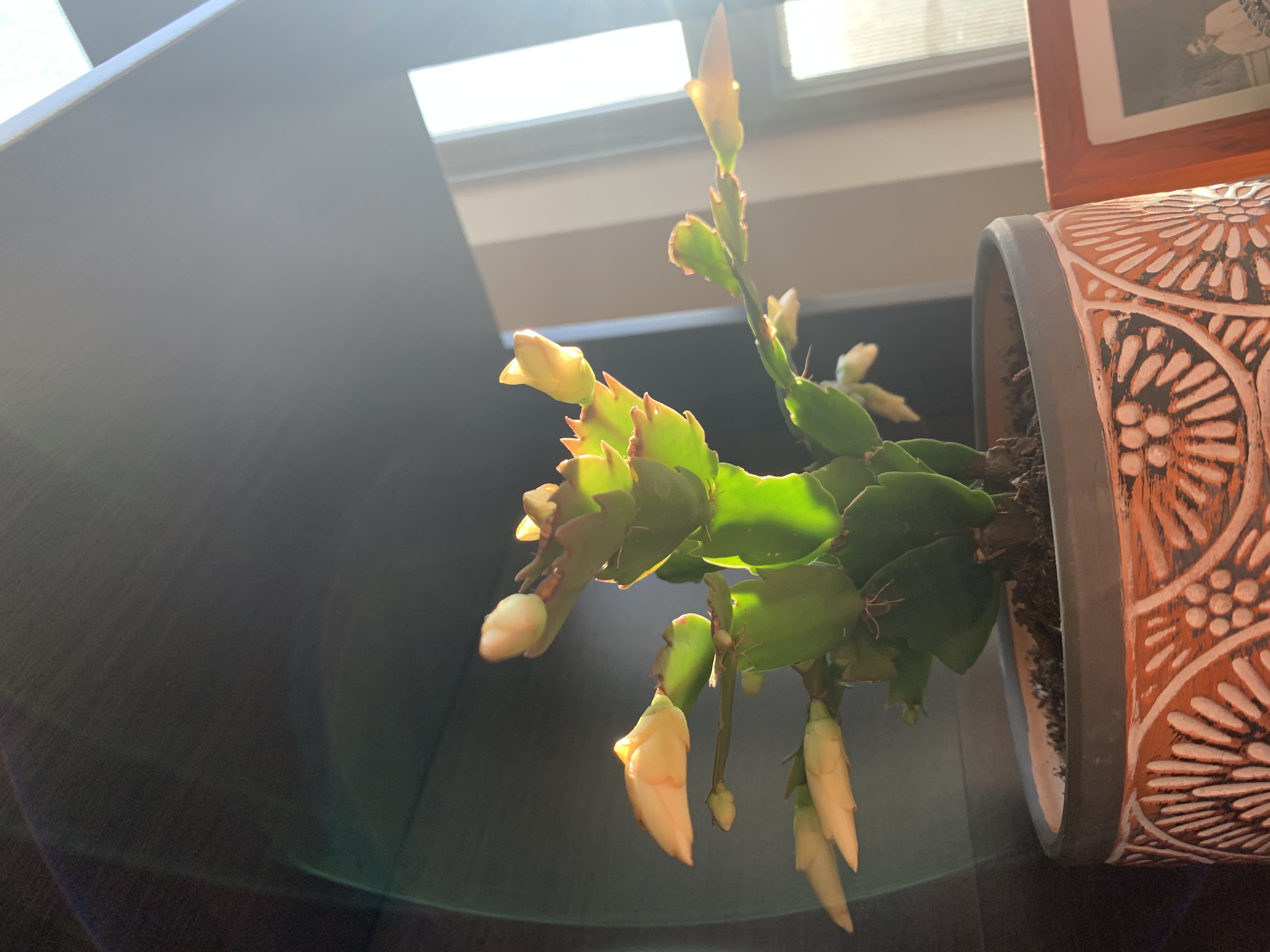 Photo from the post