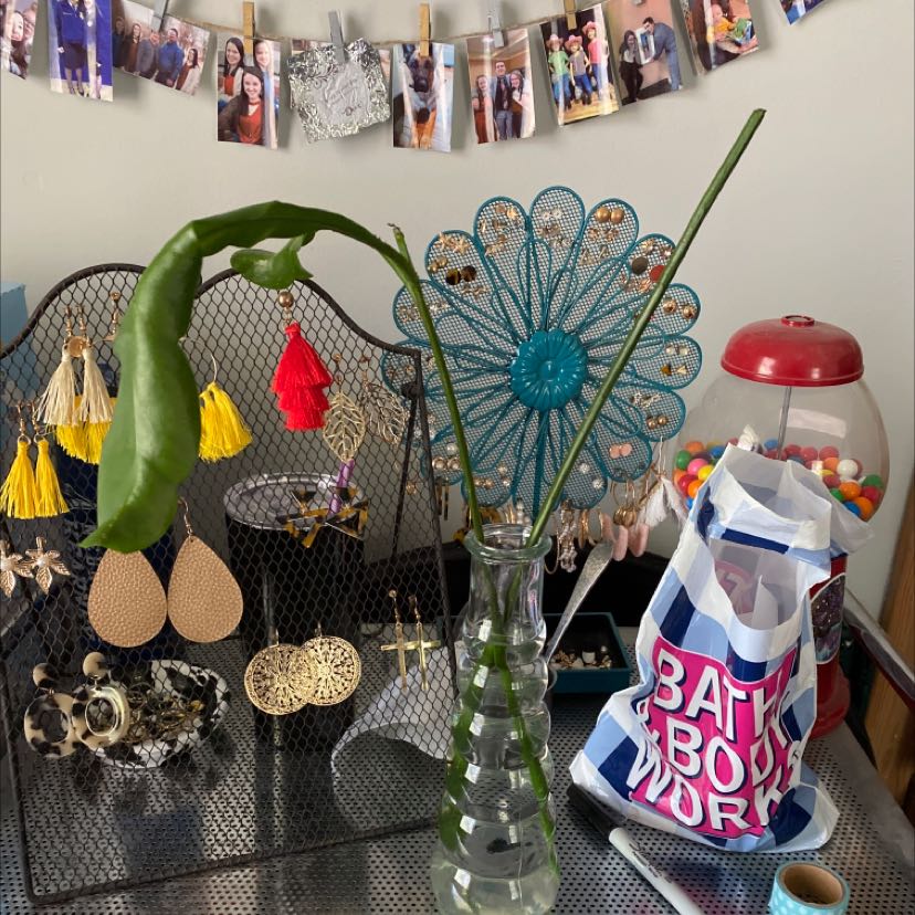 Decorative metal peacock sculpture with red and yellow canna lily flowers in a small glass vase, surrounded by eclectic decor items.