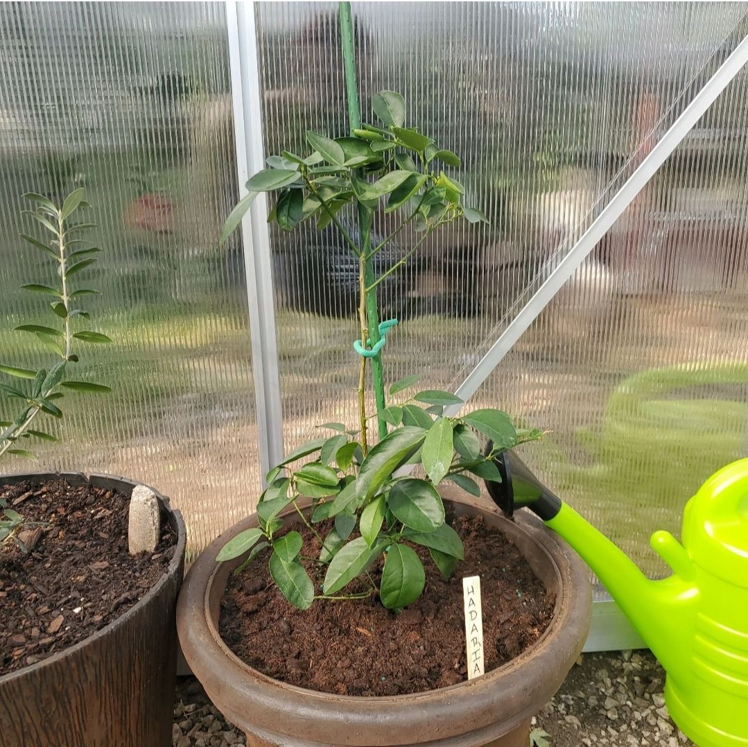 Photo from the post