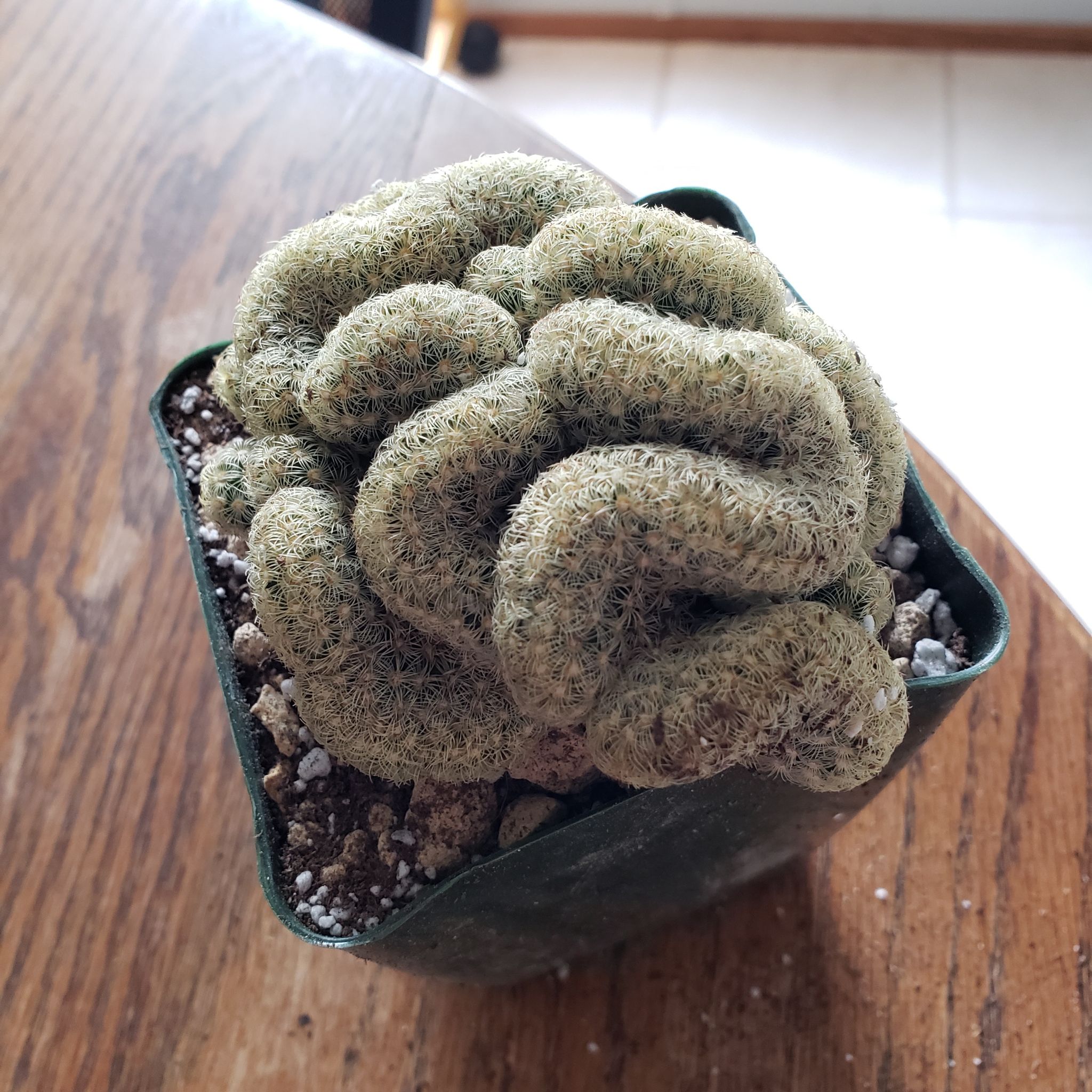 Photo from the post