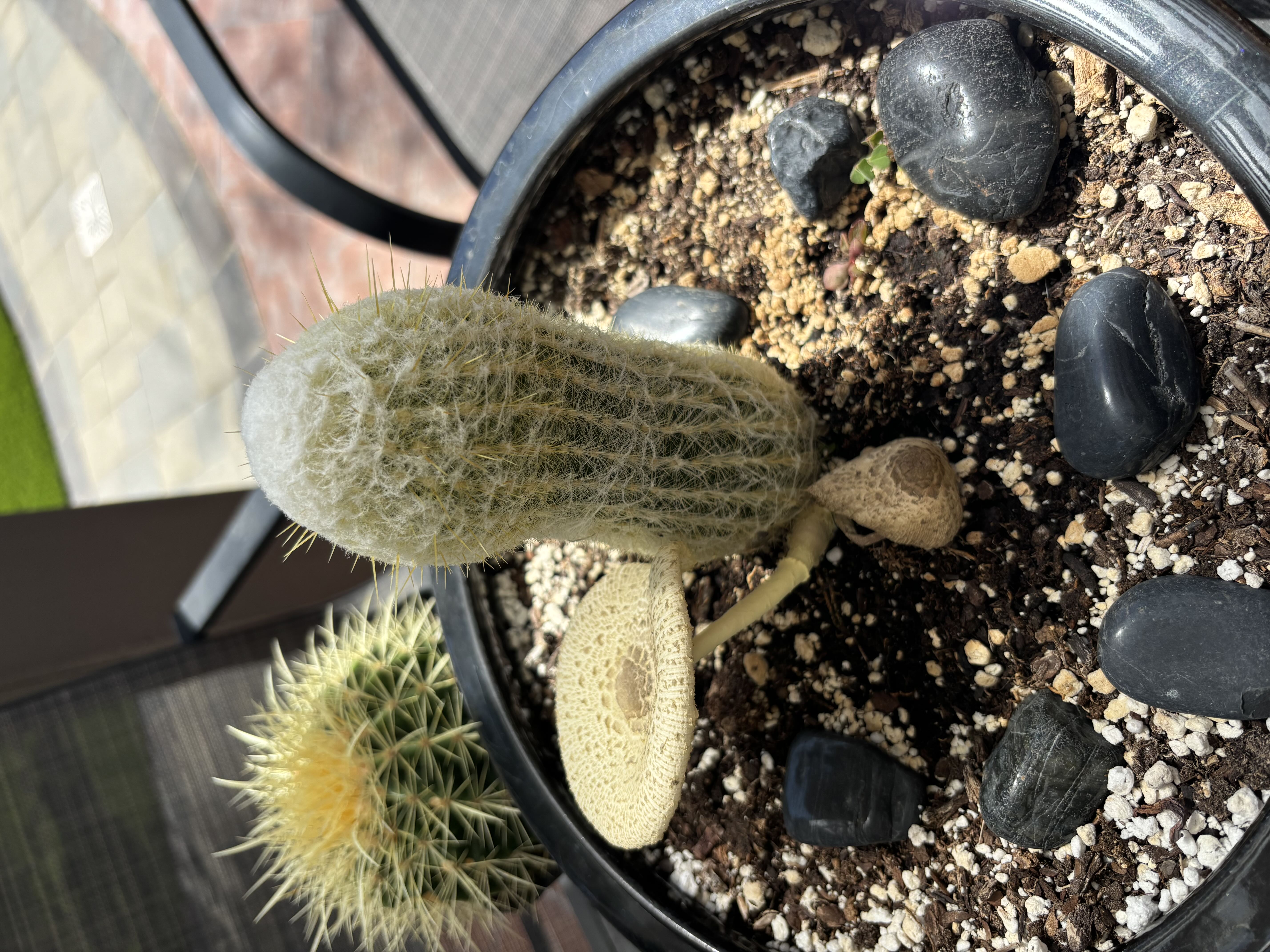 Photo from the post