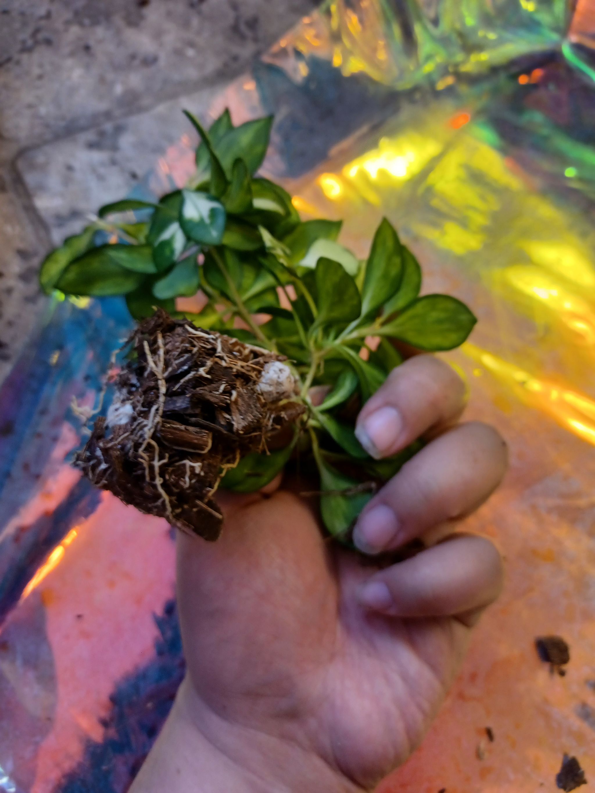 Photo from the post