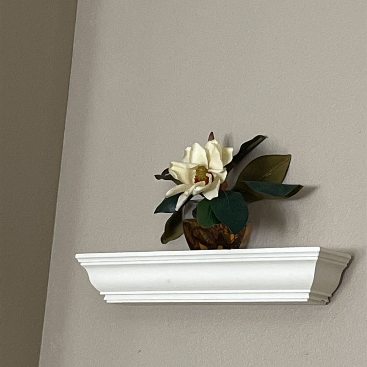 Why Are My Southern Magnolia Leaves Curling?