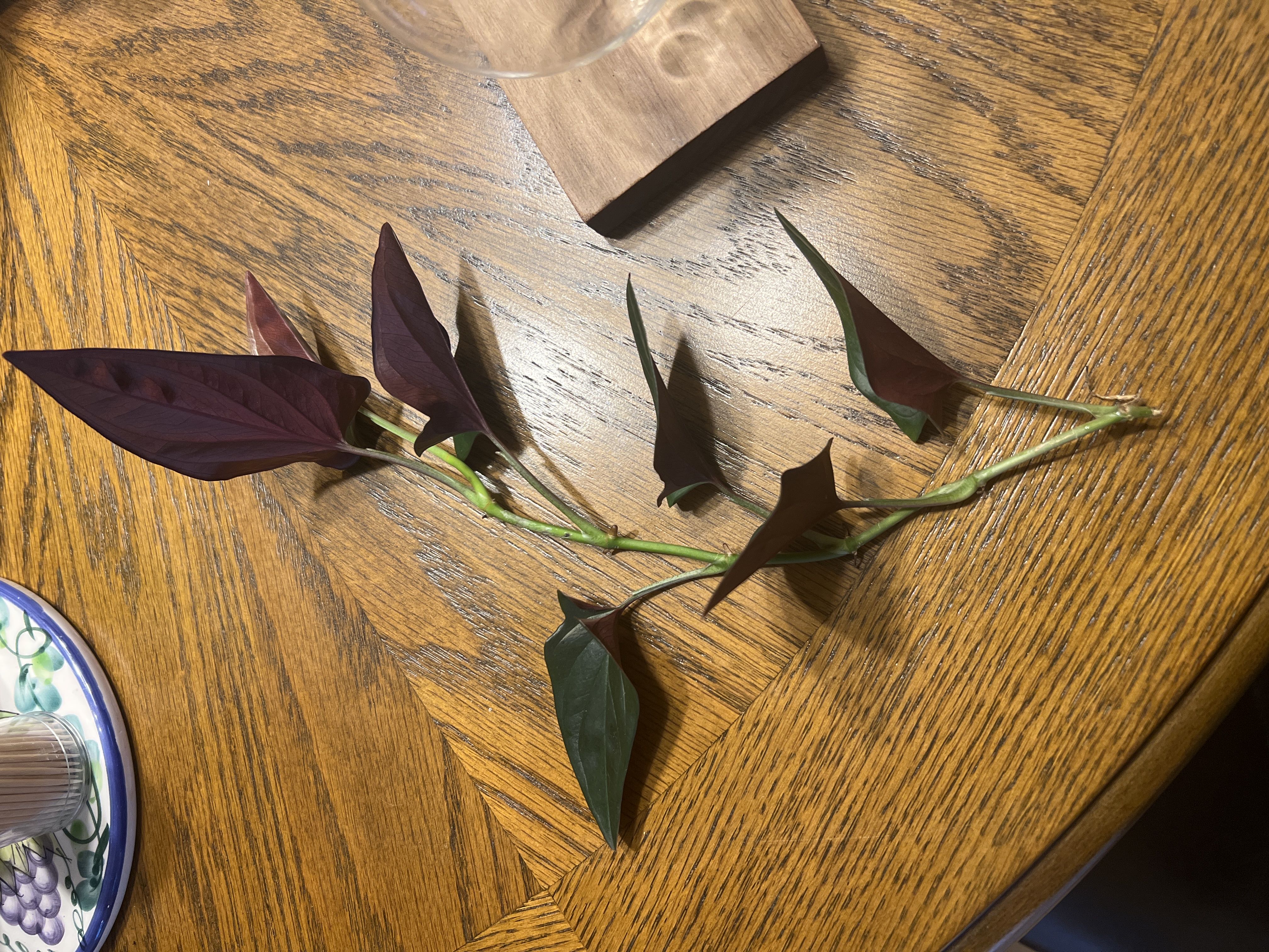 Photo from the post