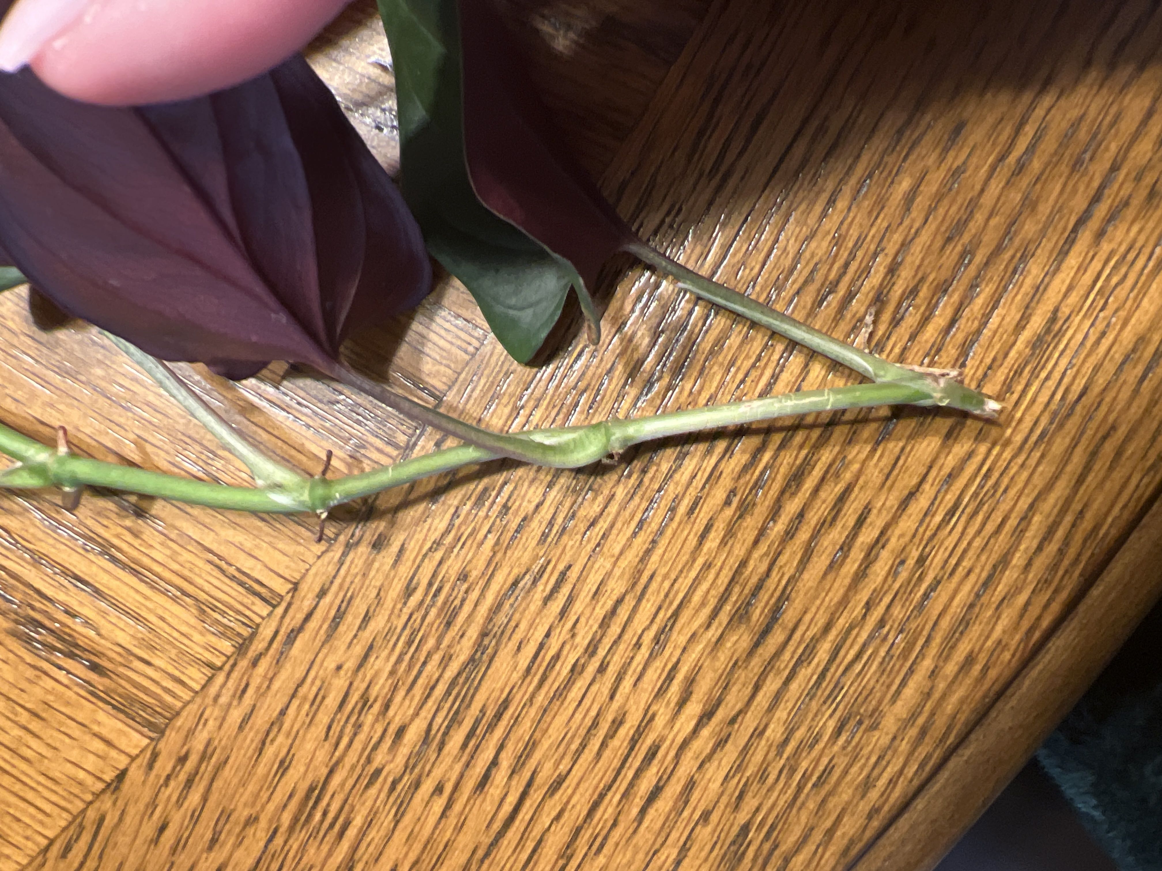 Photo from the post