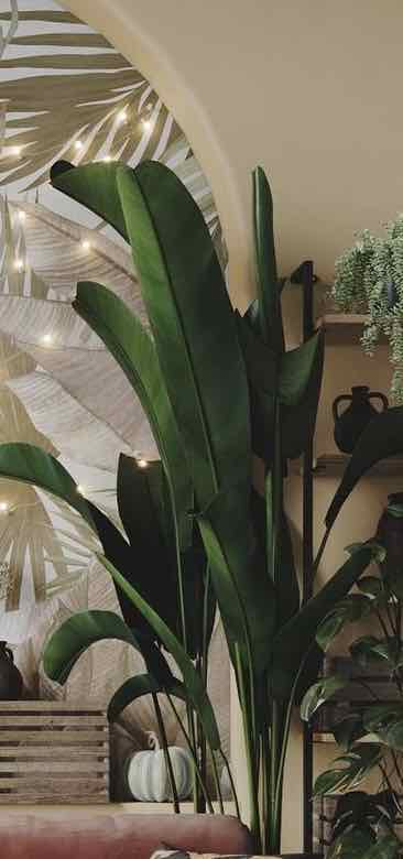 Plant care for Parrot's Plantain on Greg, the plant care app