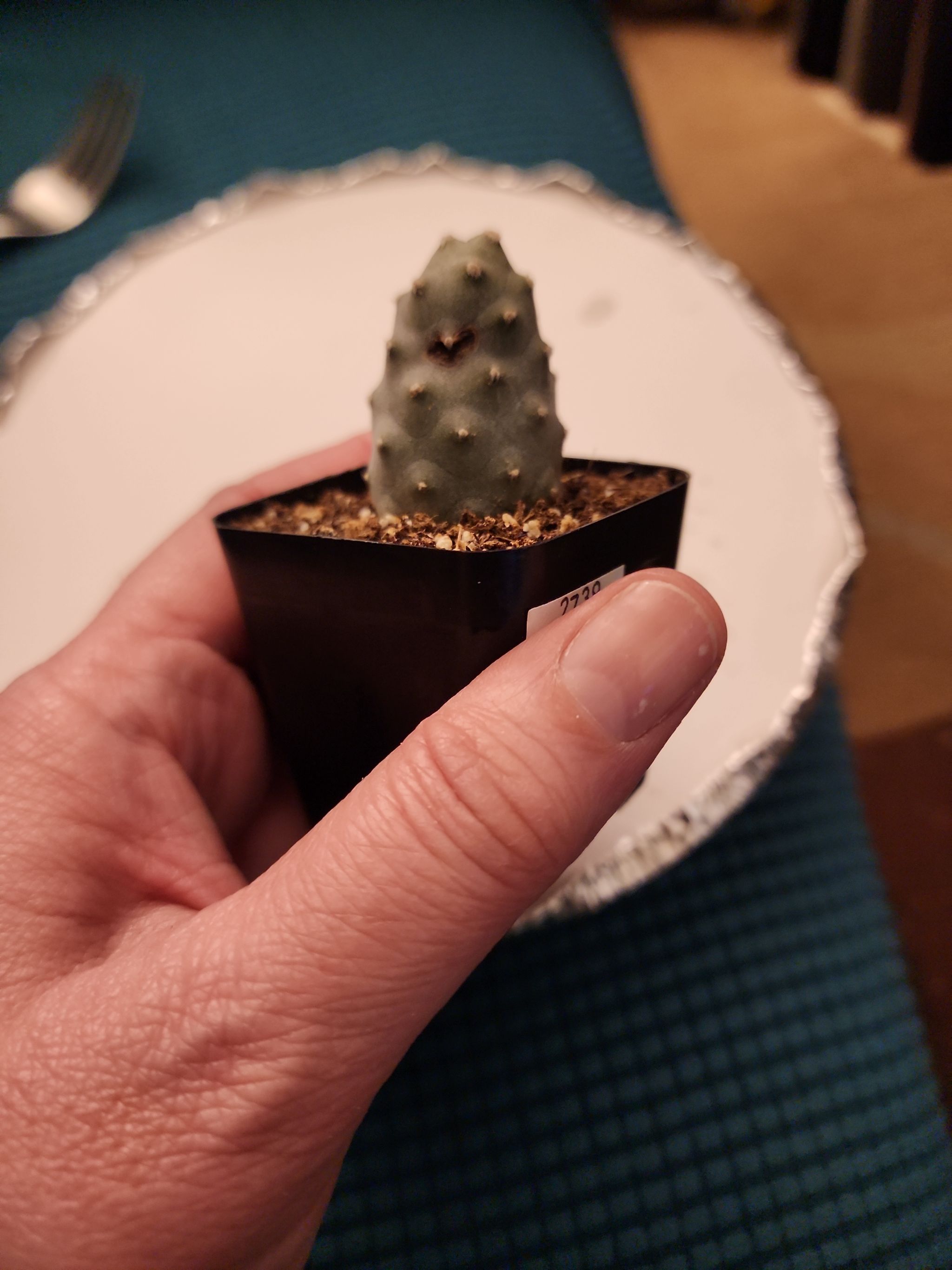 Photo from the post
