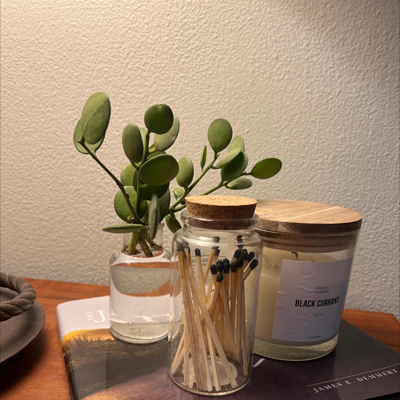 Silver Dollar Vine in a glass container on a table with a candle and a jar of matches.