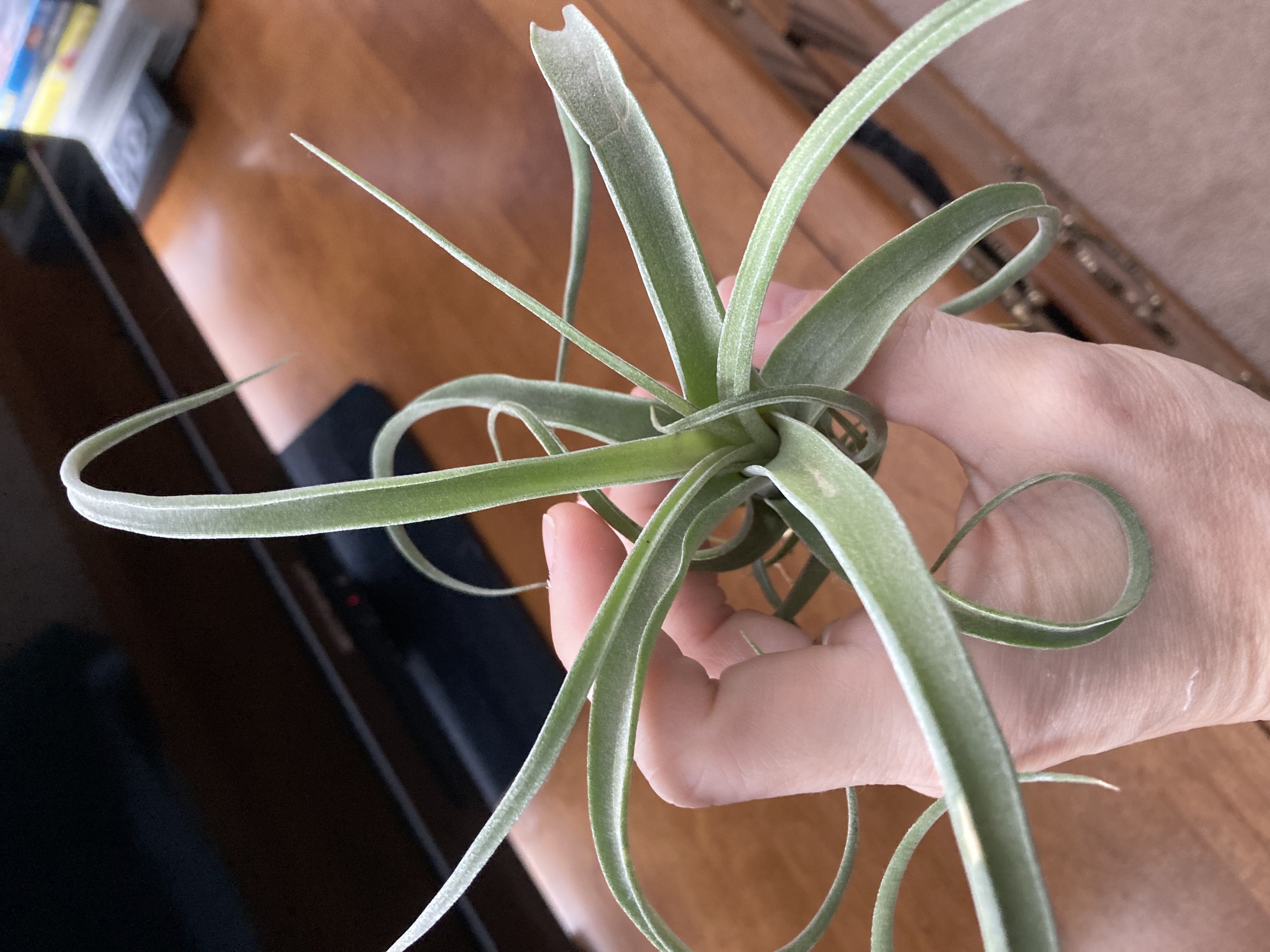 Photo from the post