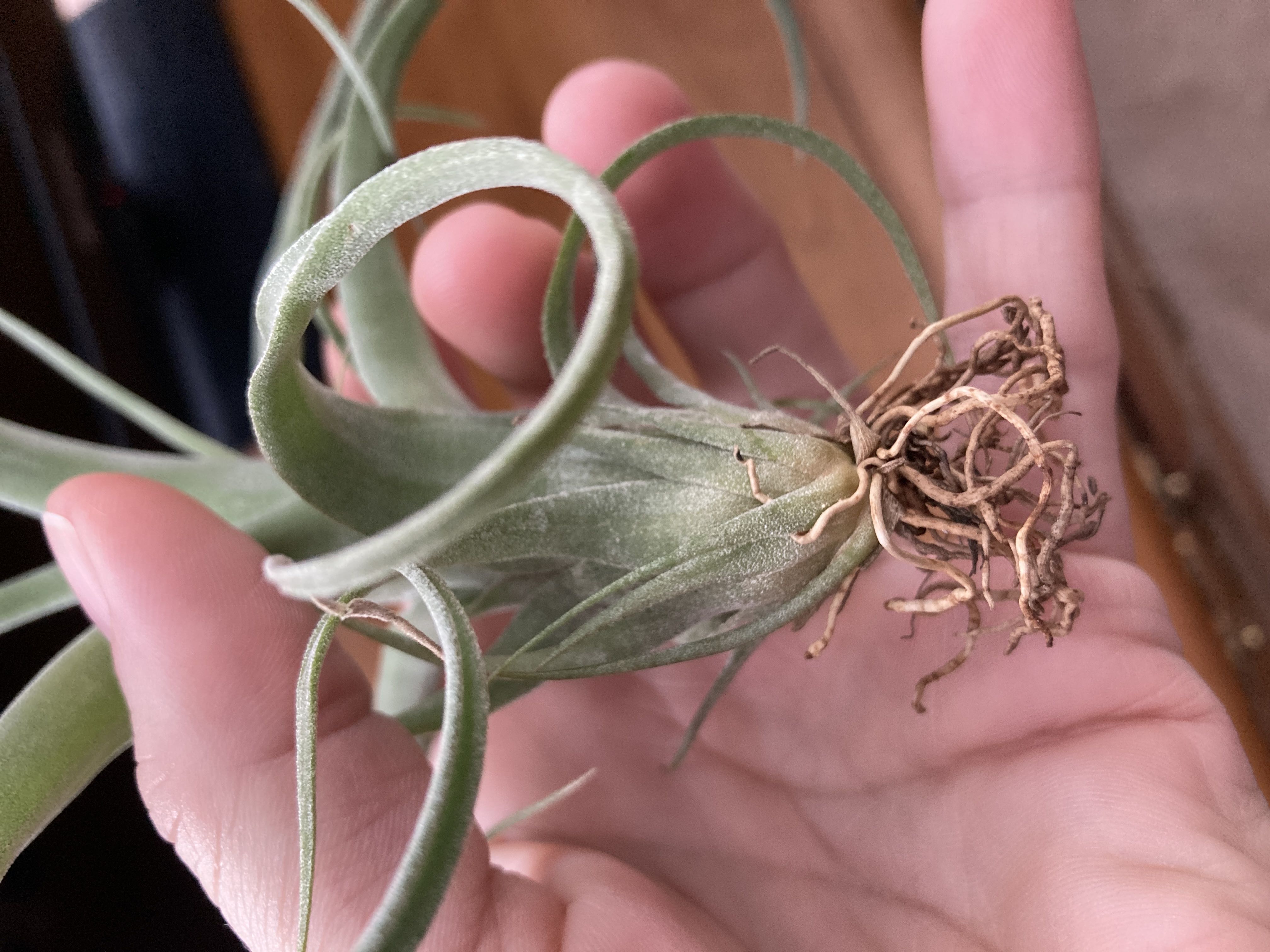 Photo from the post