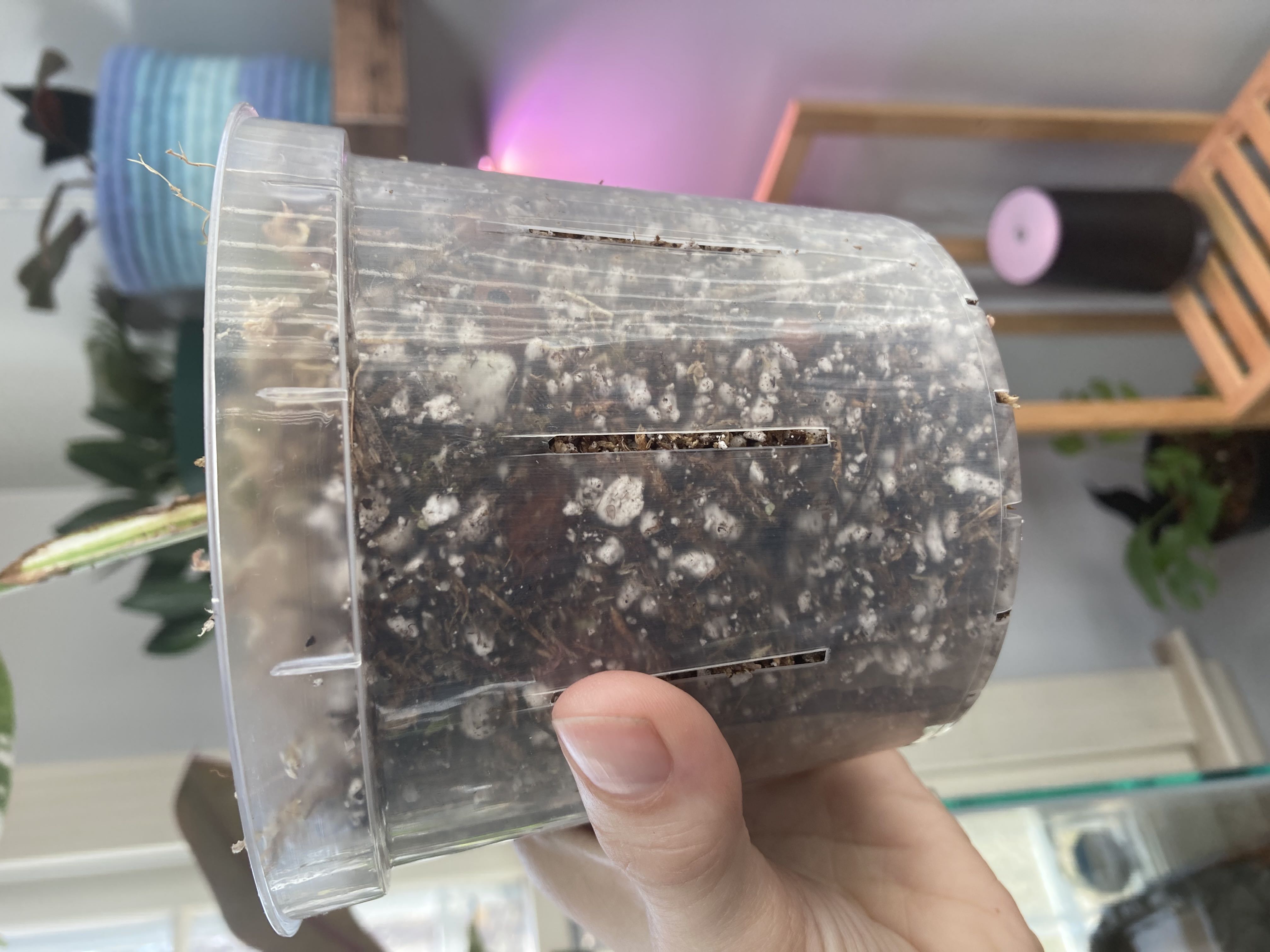 Photo from the post