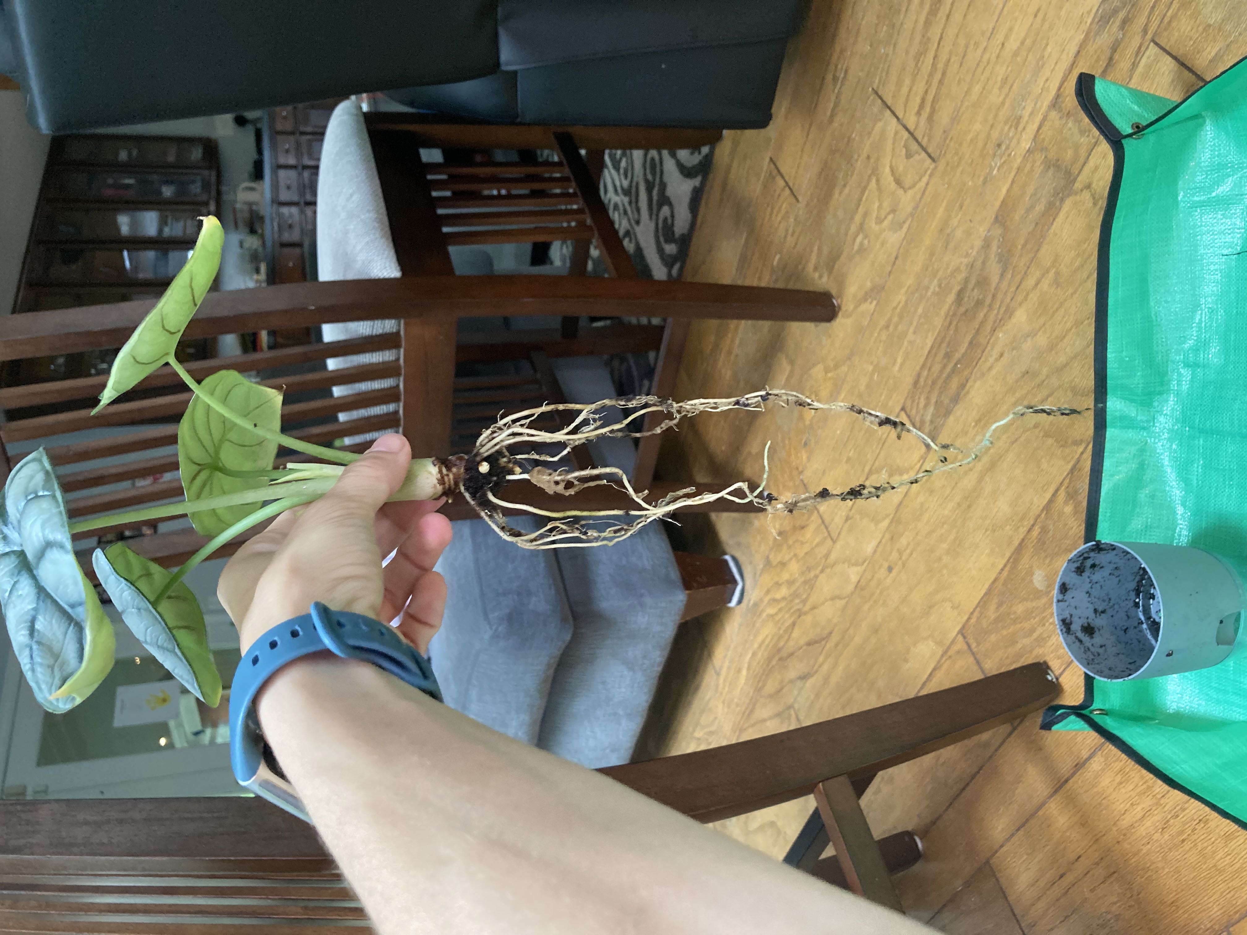 Photo from the post