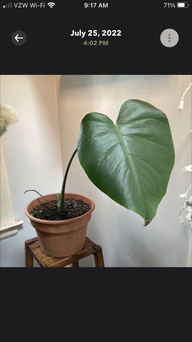 Photo from the post
