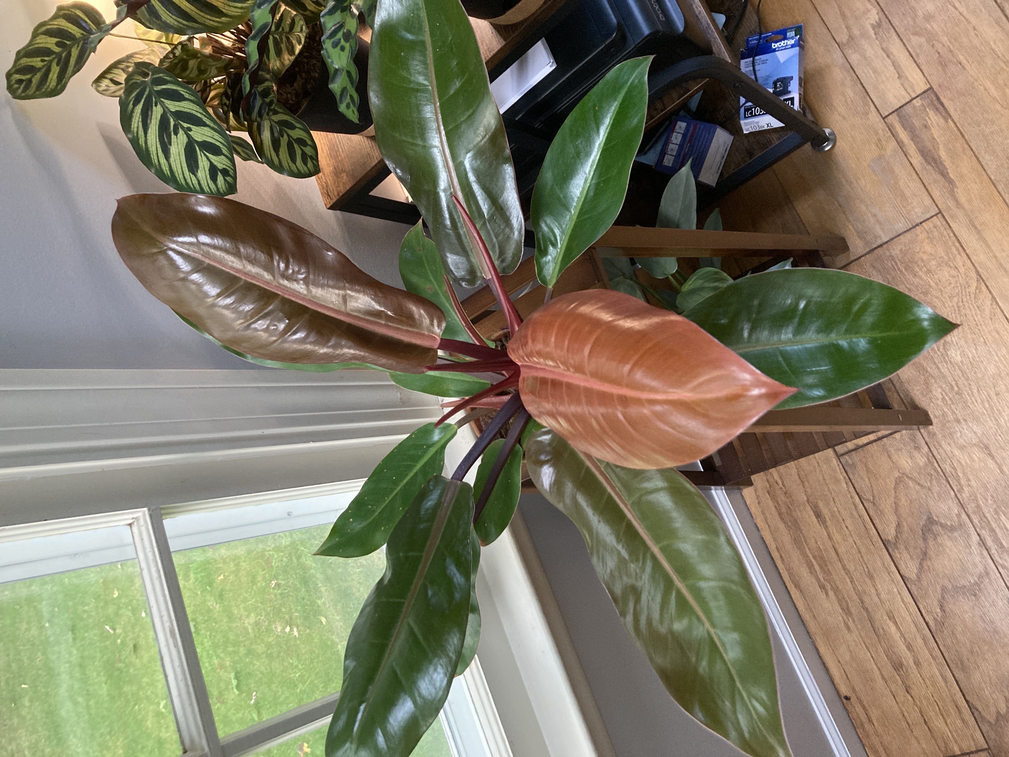 Photo from the post