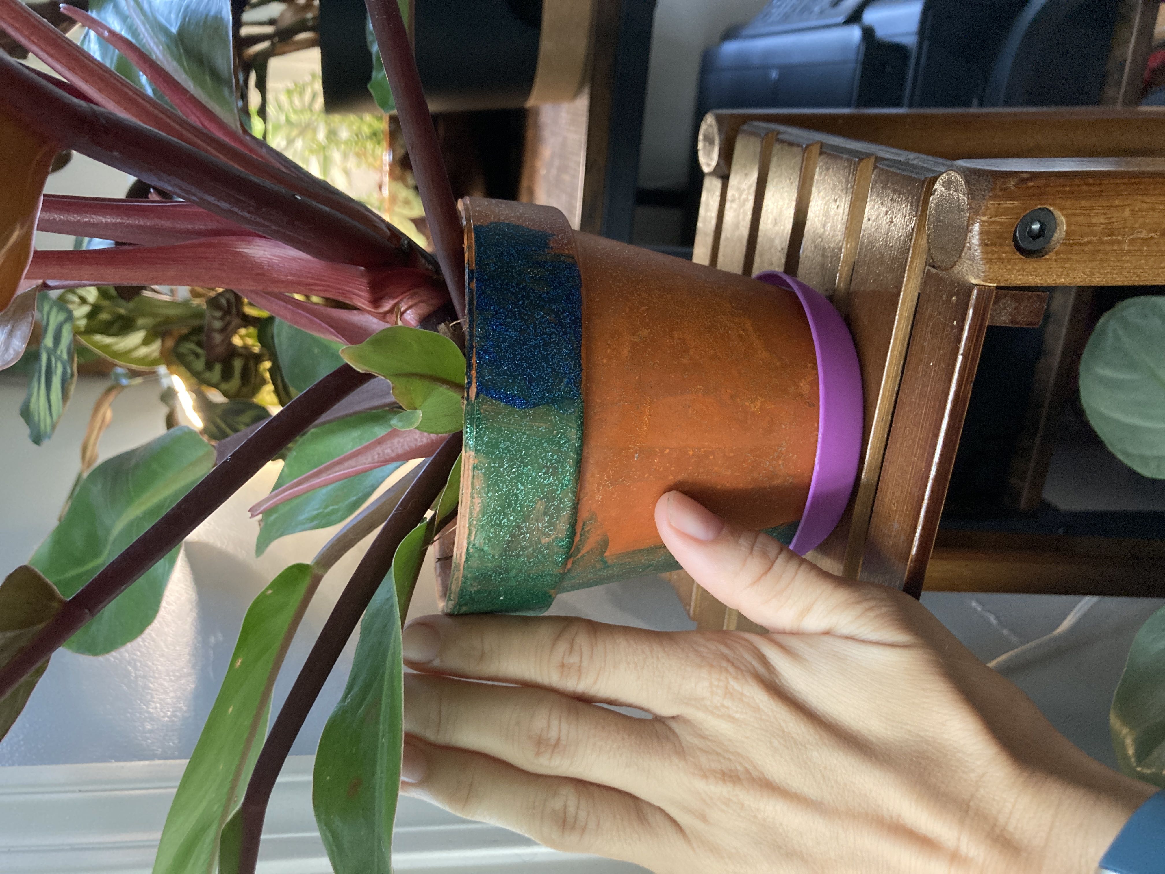 Photo from the post