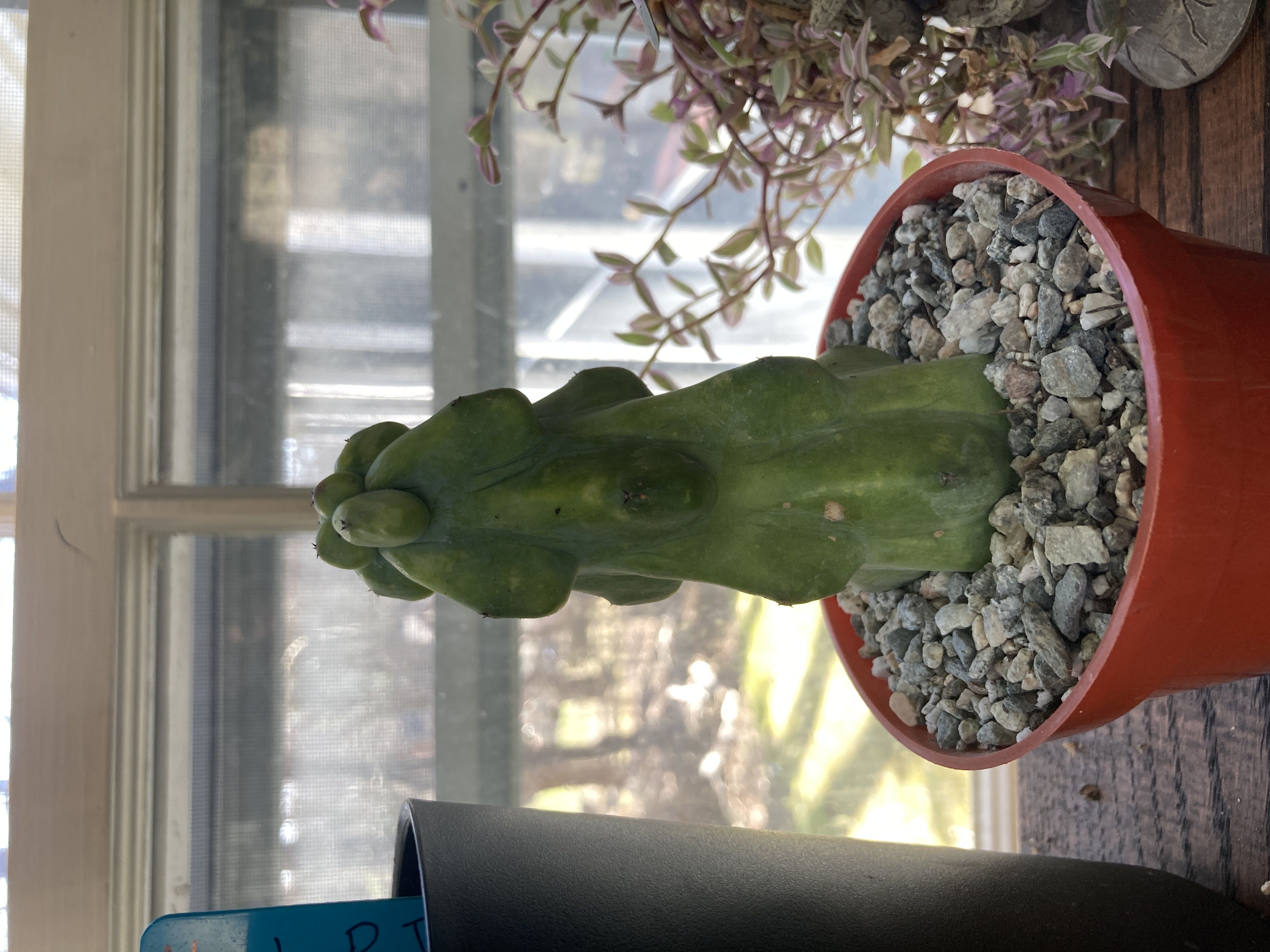 Photo from the post