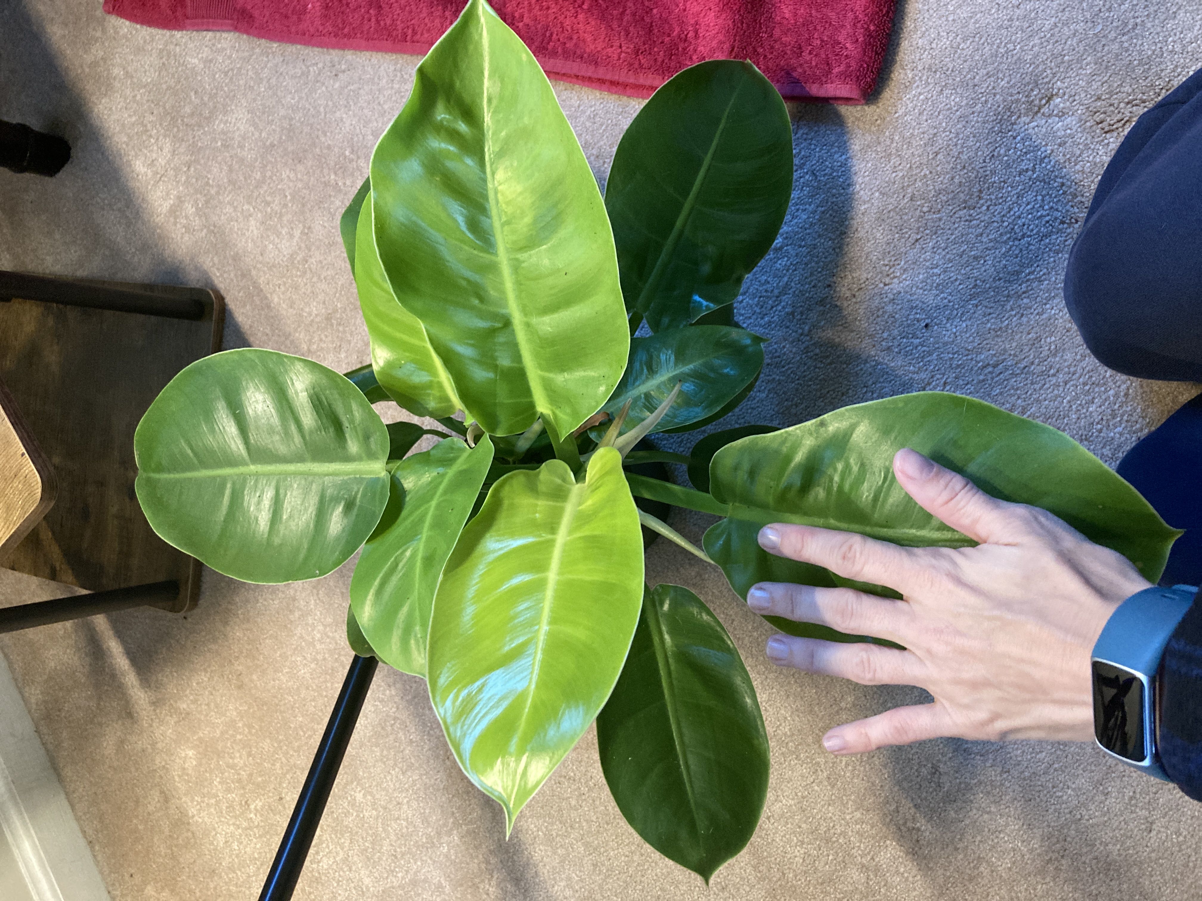 Photo from the post