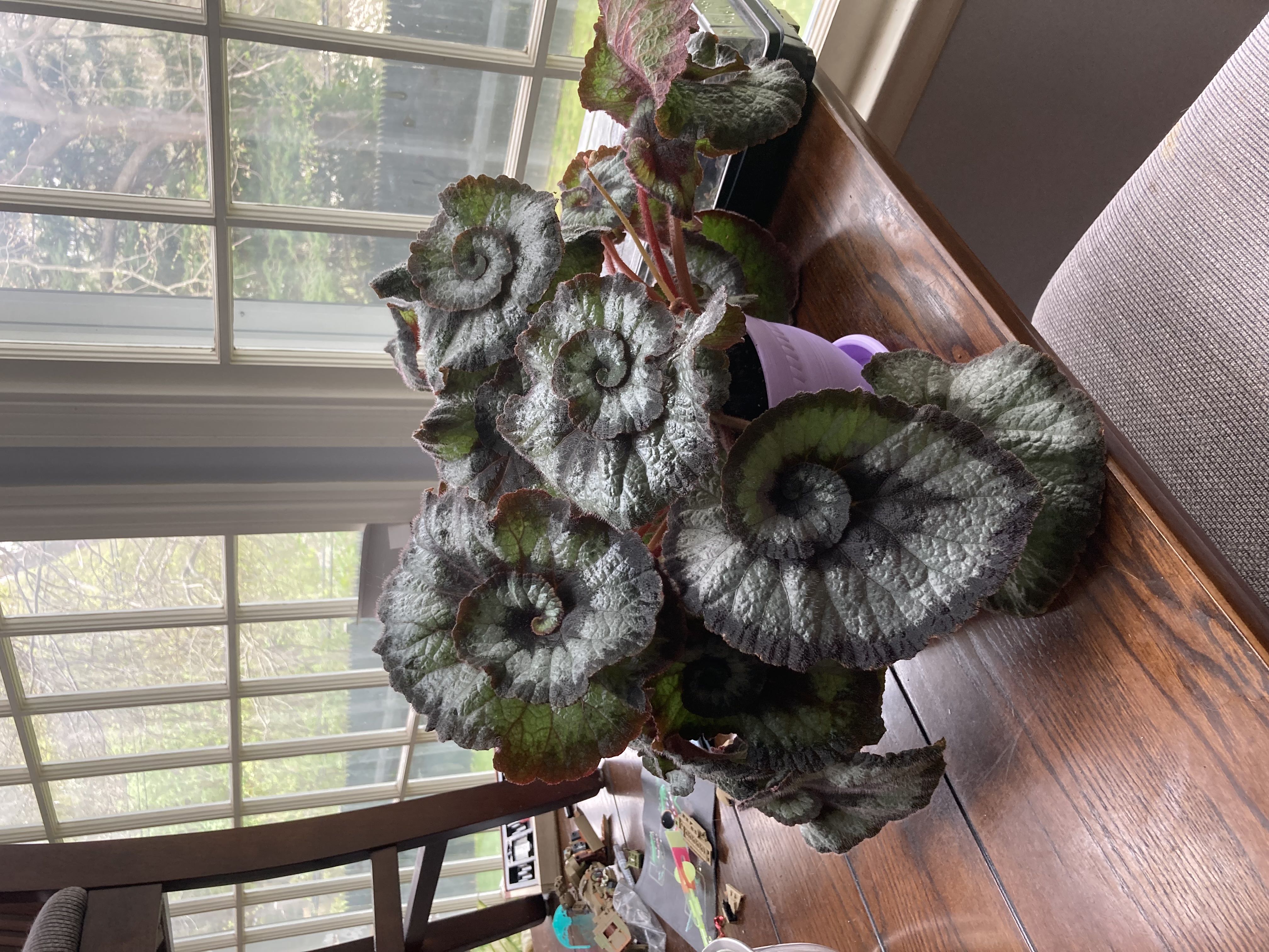 Photo from the post