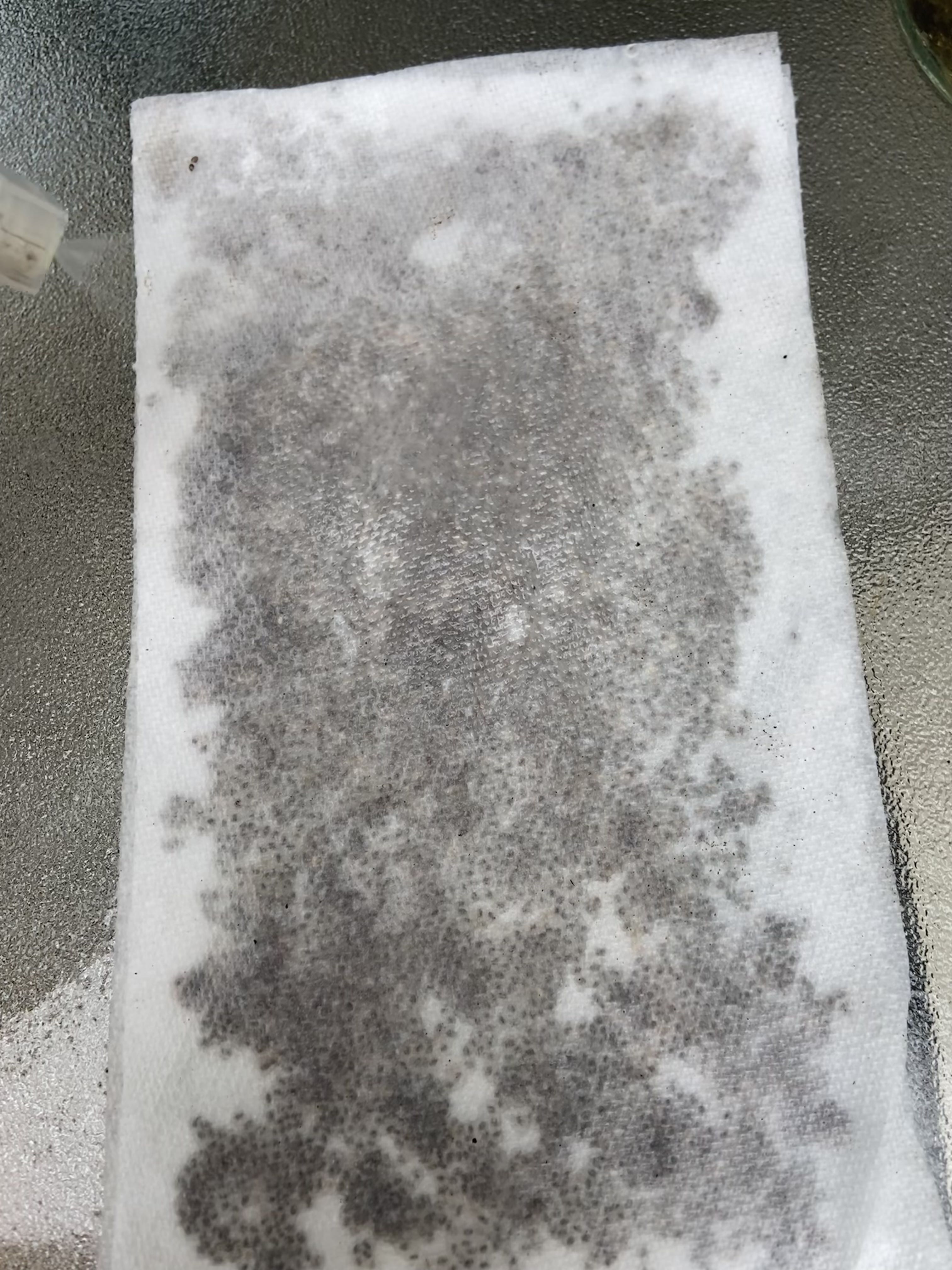 Photo from the post