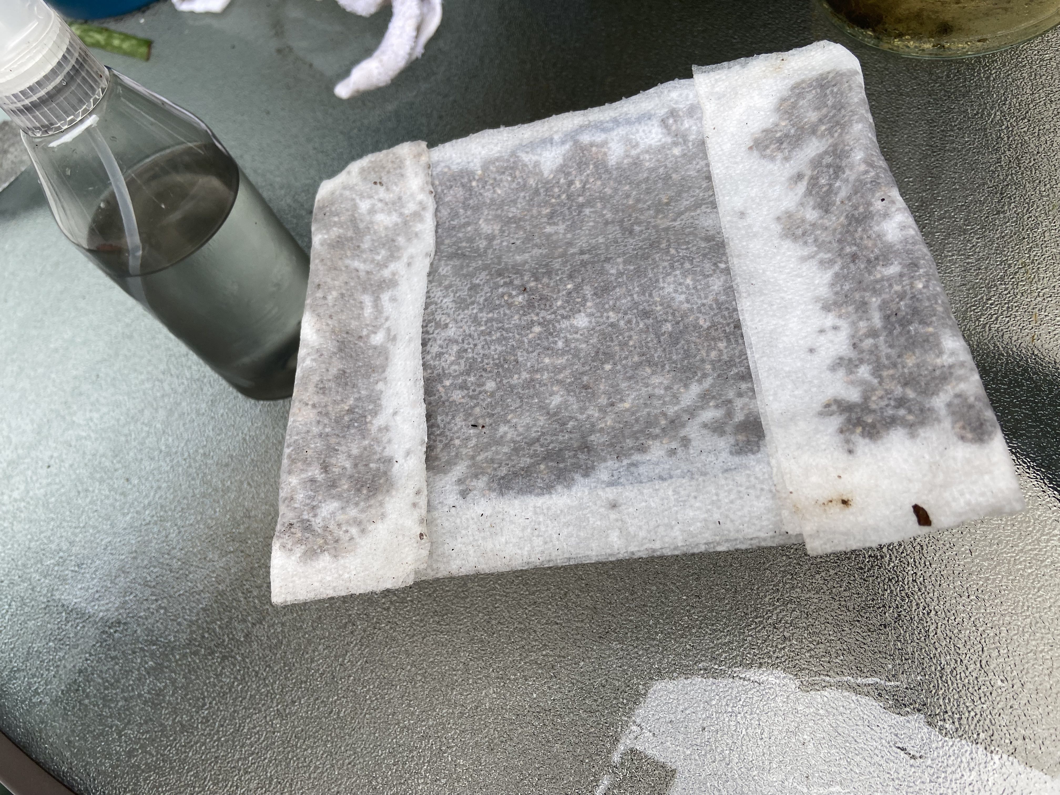 Photo from the post