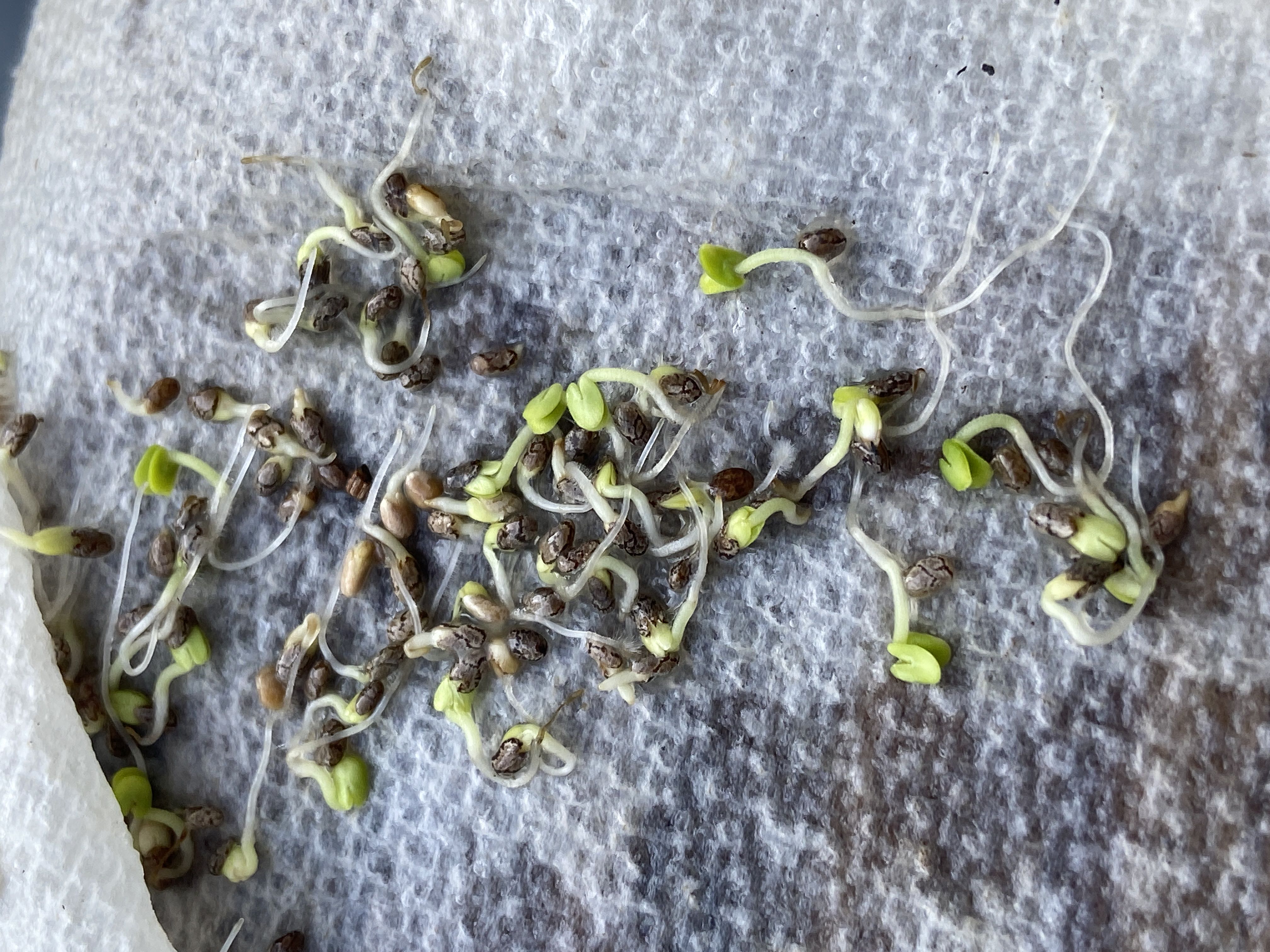 Photo from the post