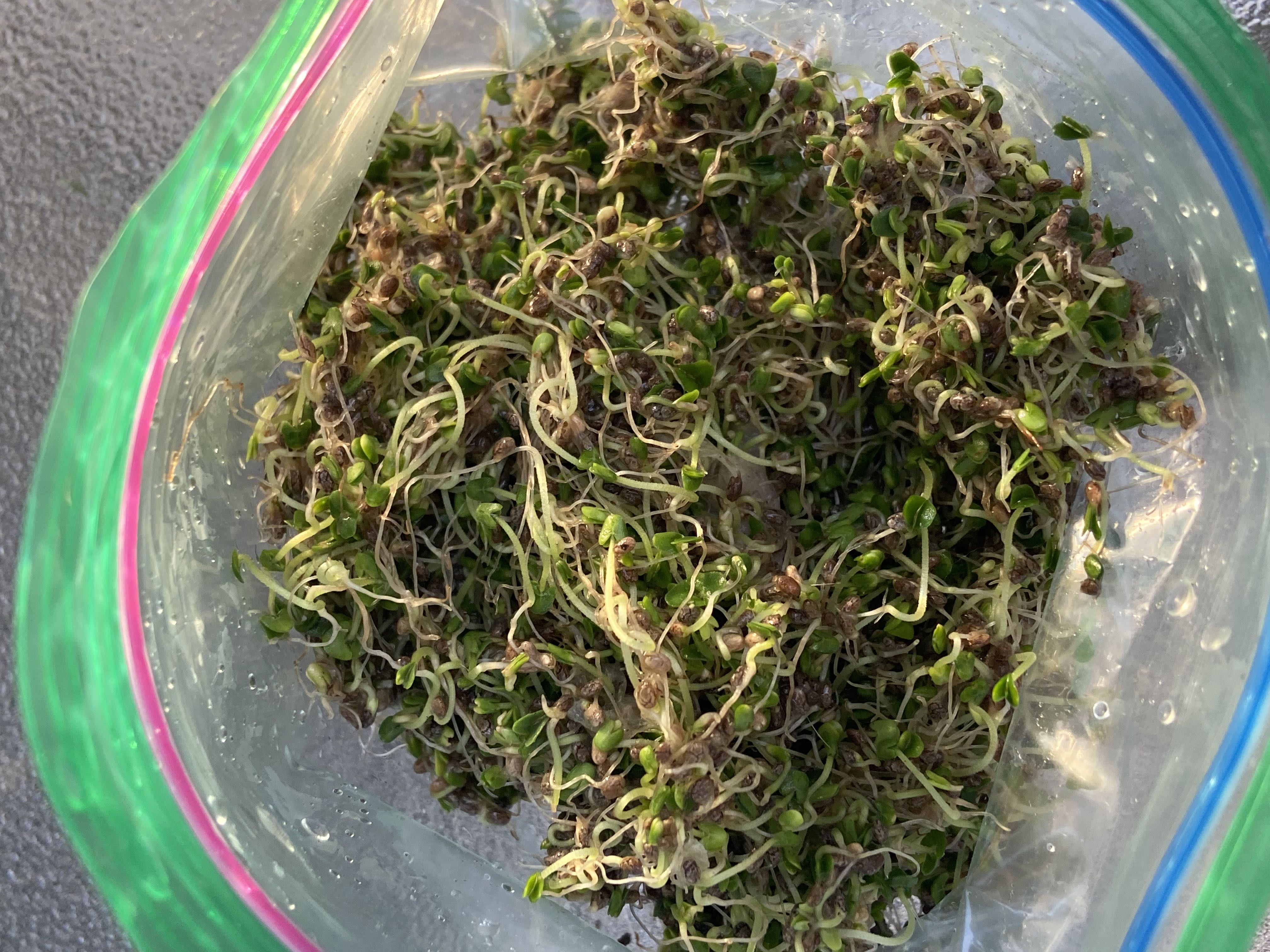 Photo from the post
