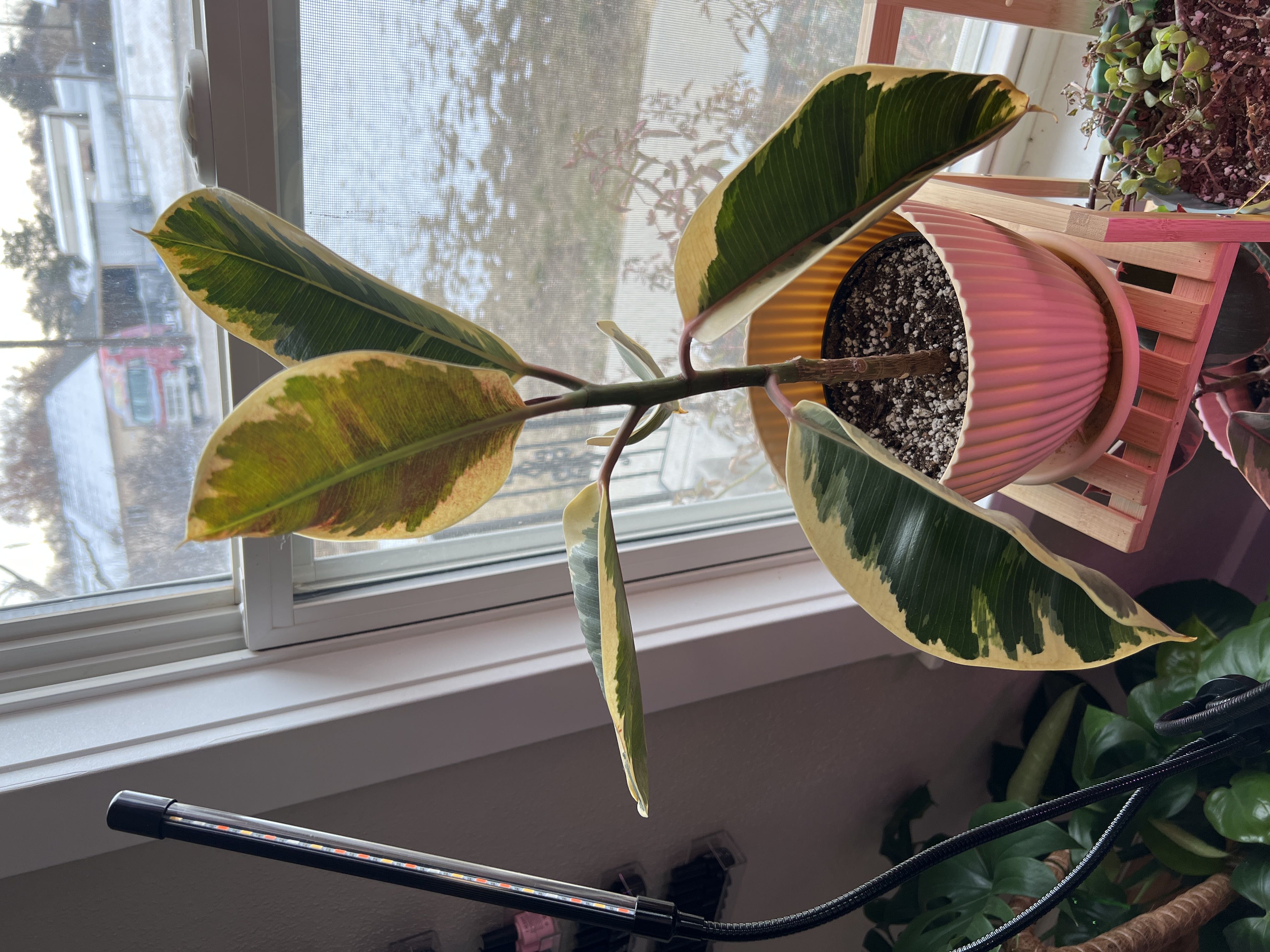 Photo from the post