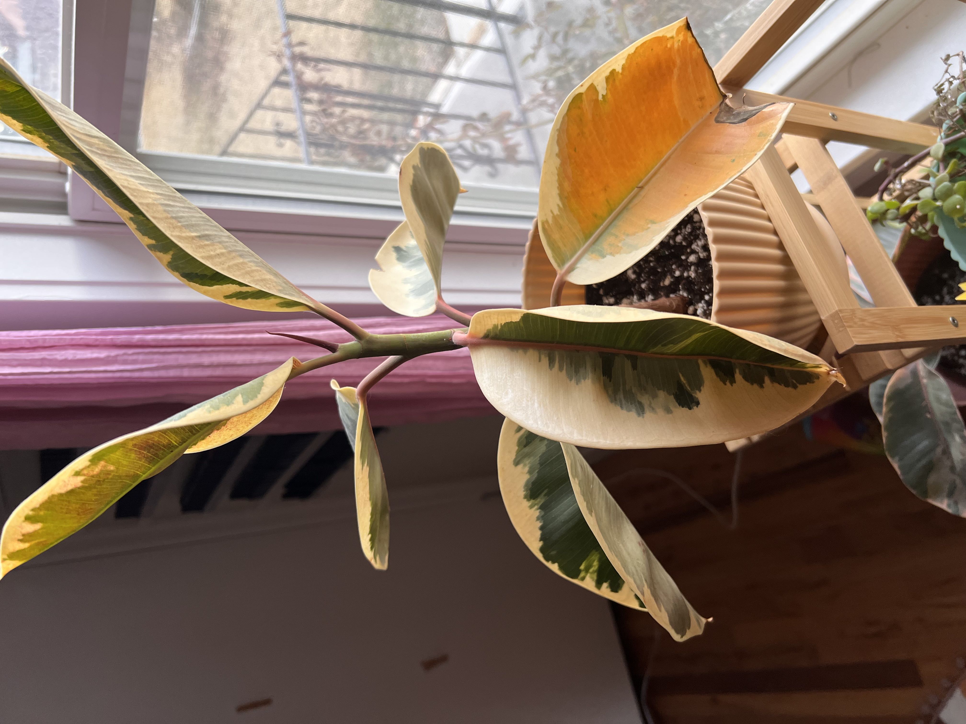 Photo from the post
